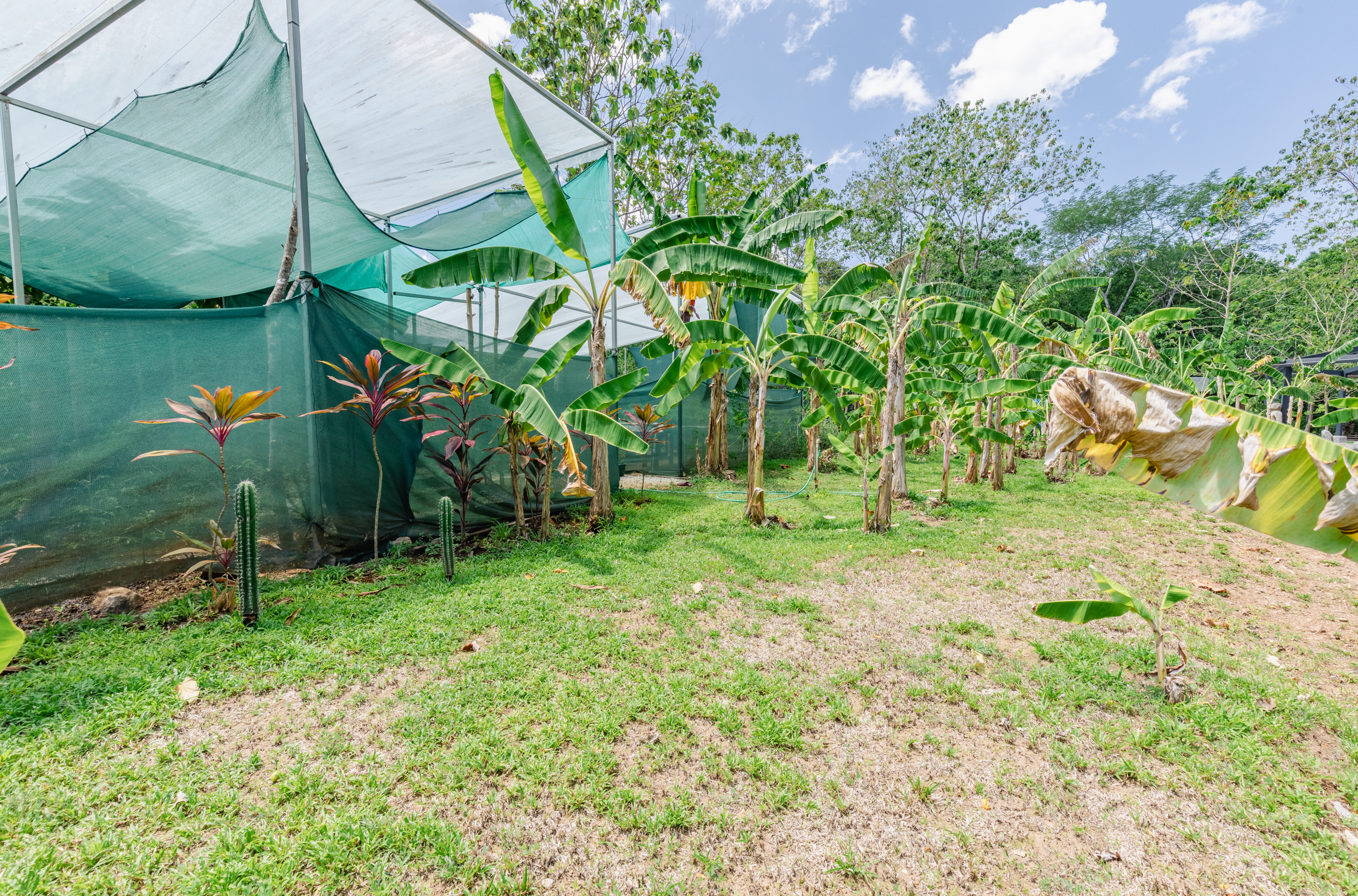 11 bed Land For Sale in Nosara, Guanacaste - thumb 14