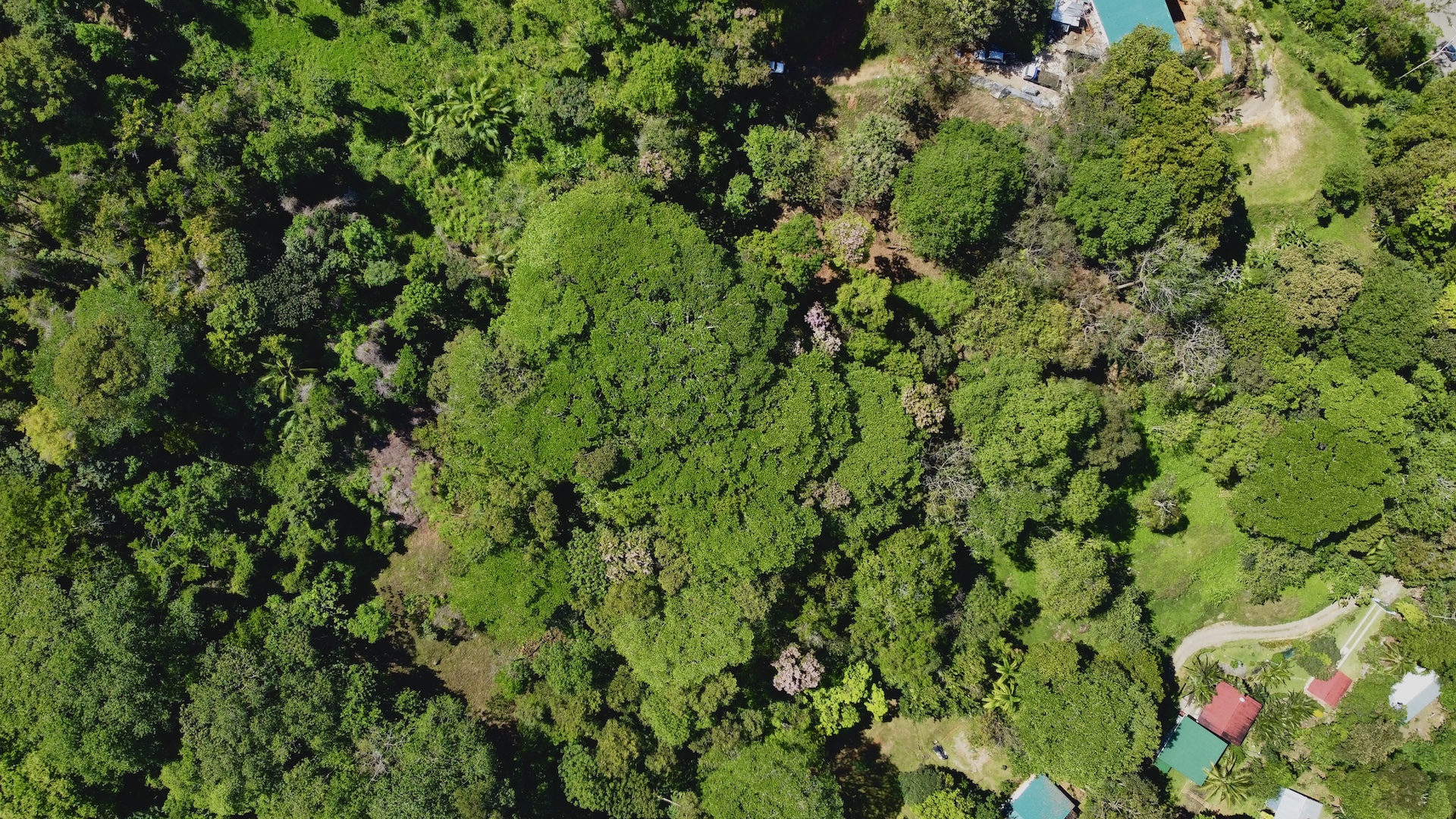 0 bed Land For Sale in Uvita, Puntarenas - thumb 8