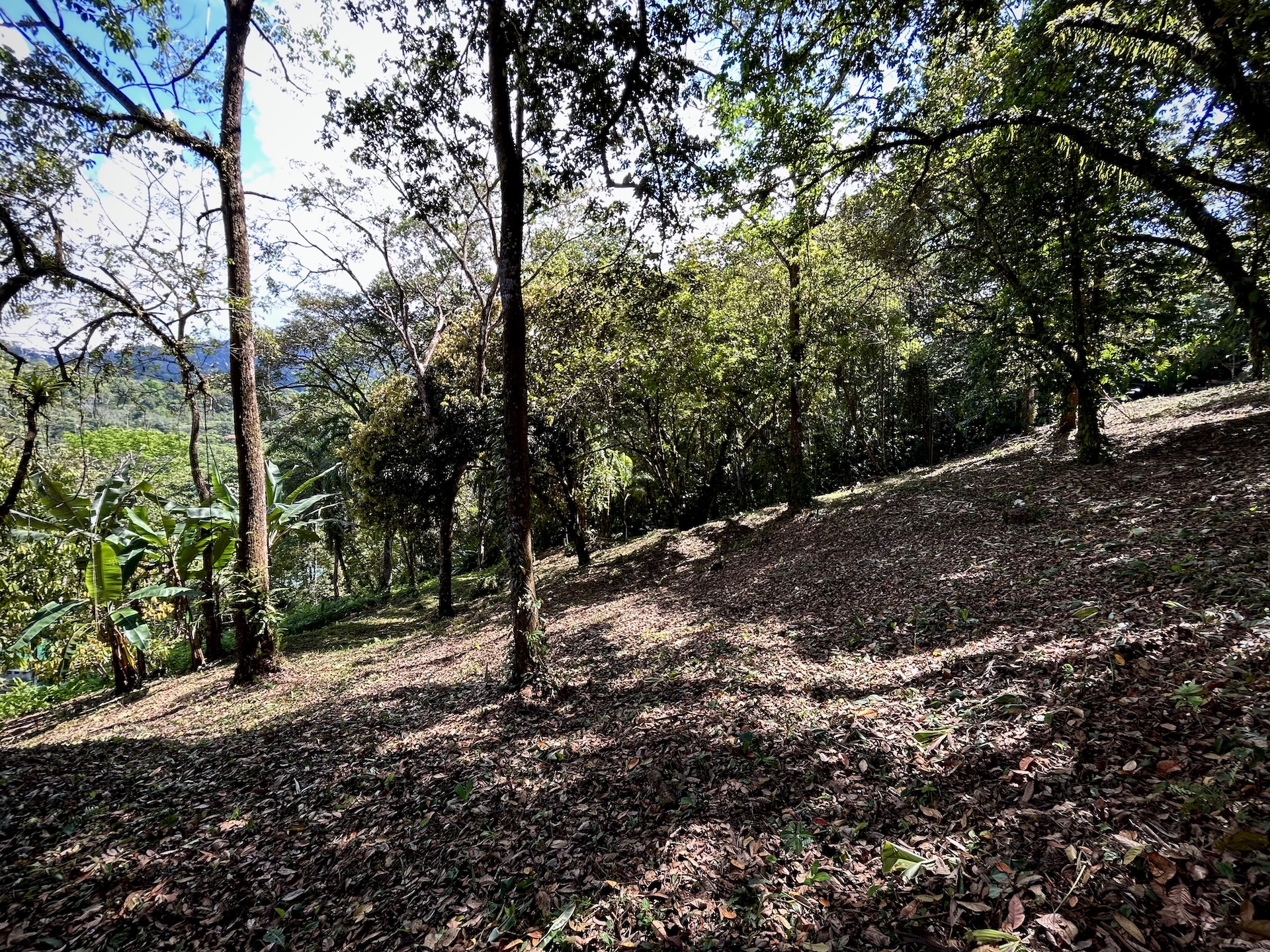 0 bed Land For Sale in Uvita, Puntarenas - thumb 16