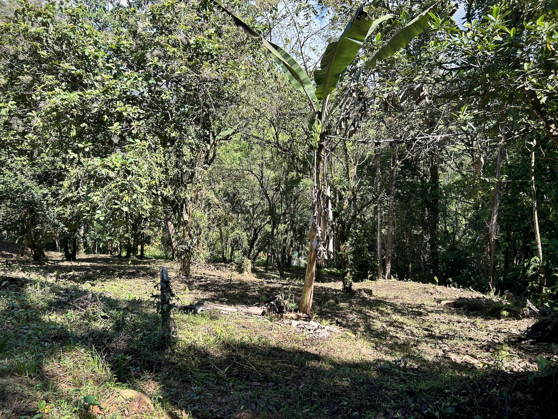 0 bed Land For Sale in Uvita, Puntarenas - thumb 12