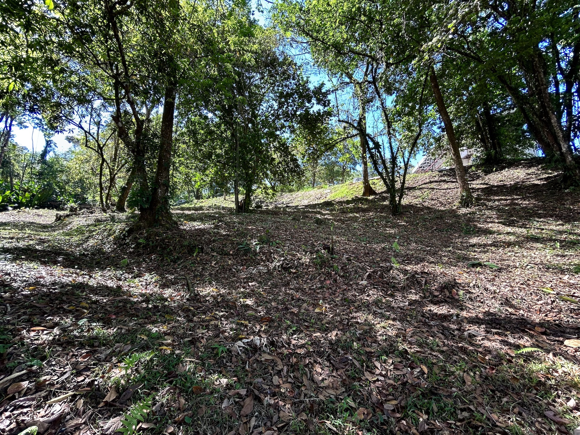 0 bed Land For Sale in Uvita, Puntarenas - thumb 19