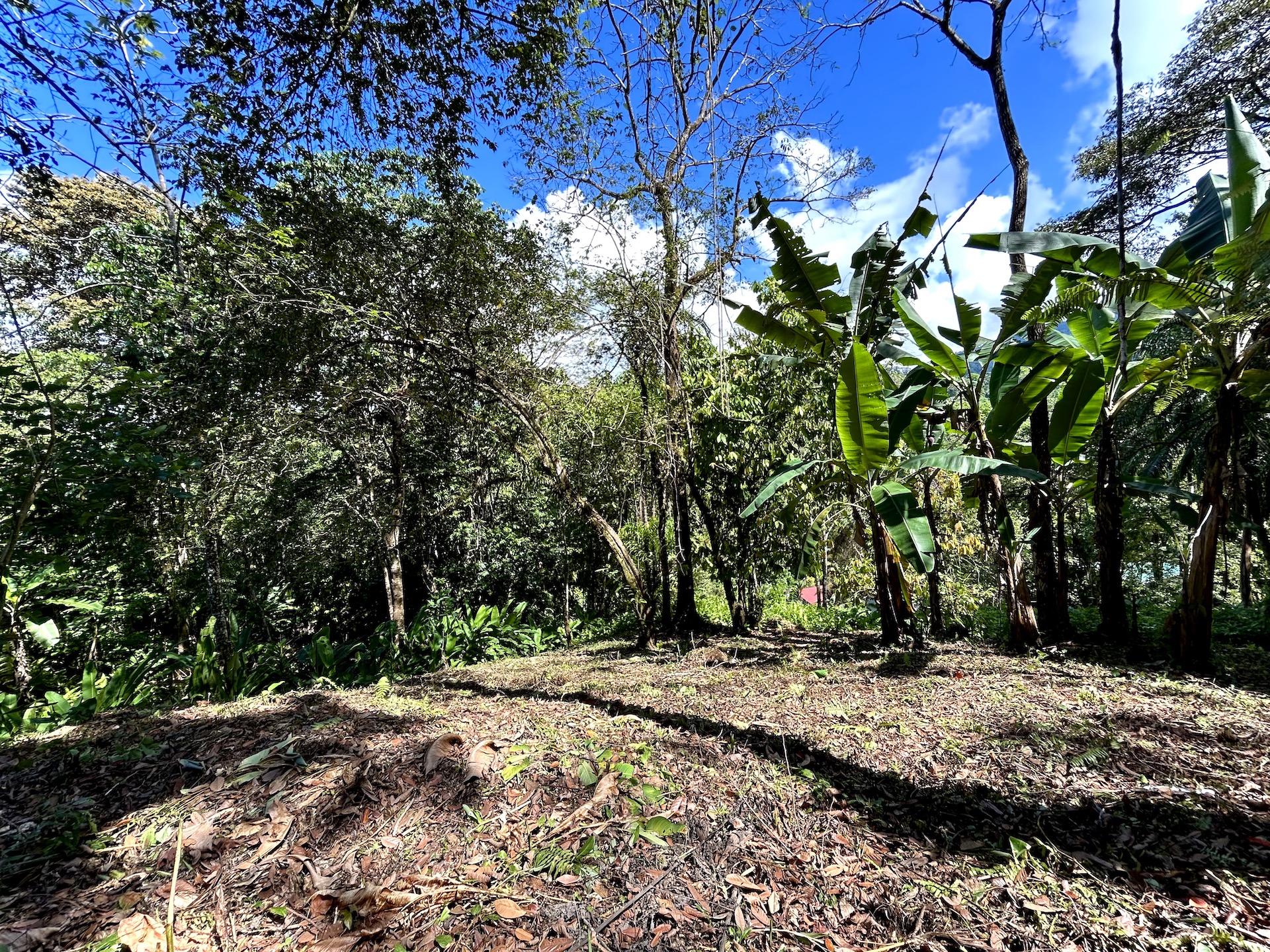 0 bed Land For Sale in Uvita, Puntarenas - thumb 11