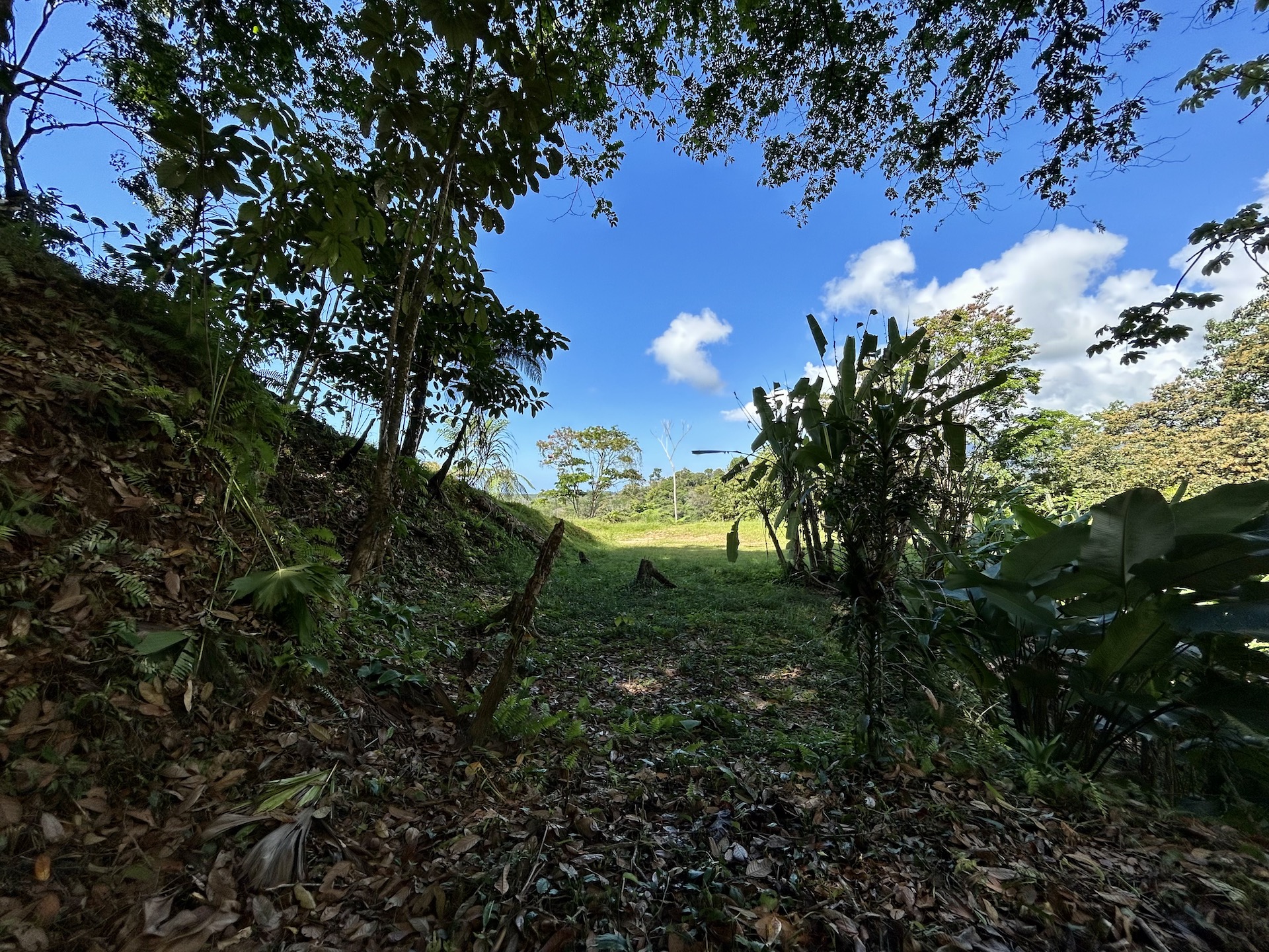 0 bed Land For Sale in Uvita, Puntarenas - thumb 9