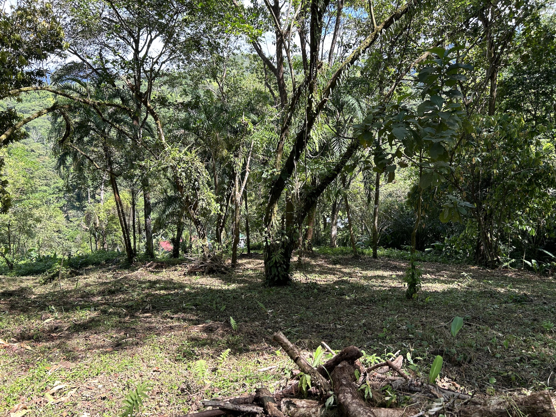 0 bed Land For Sale in Uvita, Puntarenas - thumb 24