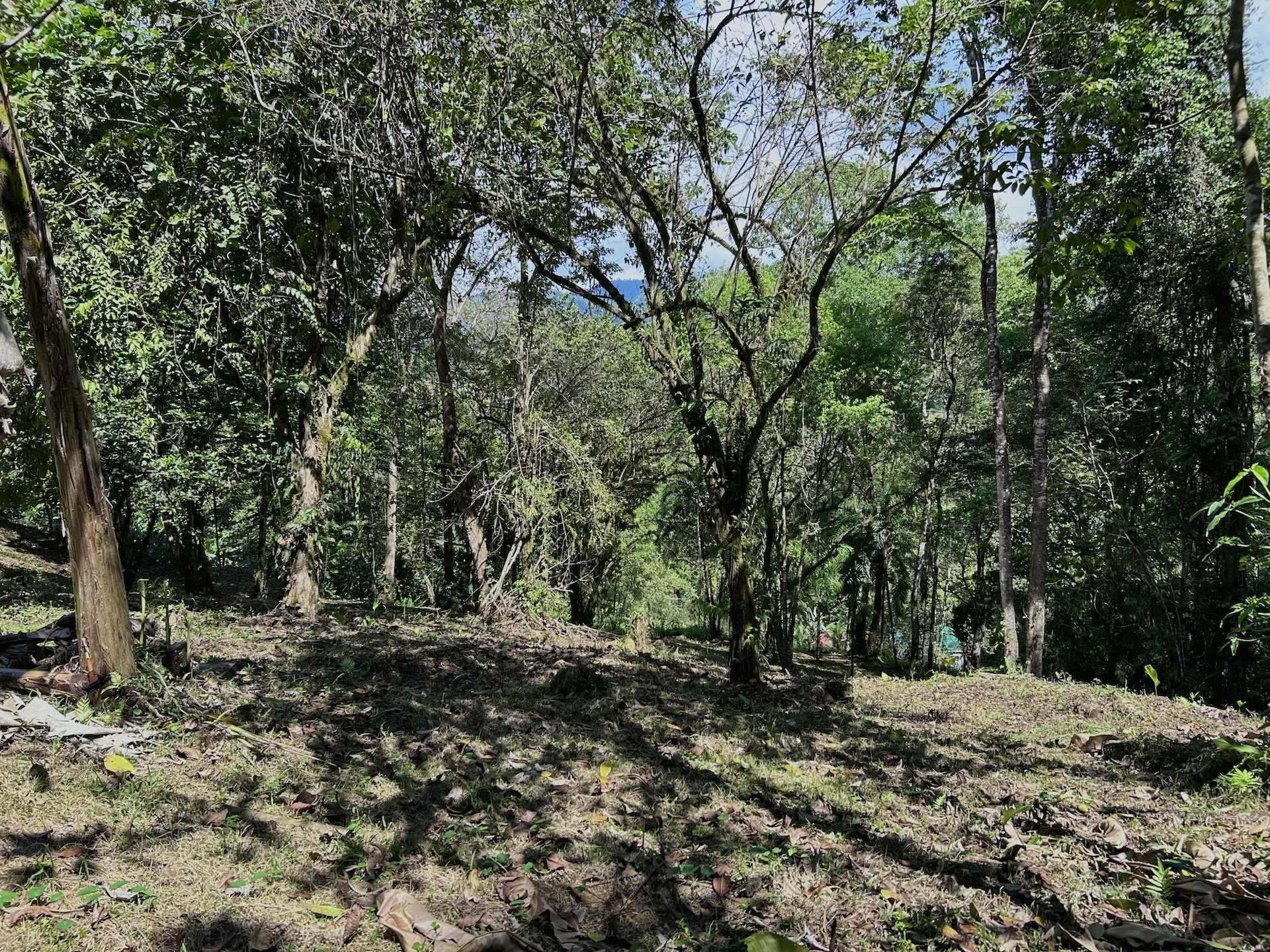 0 bed Land For Sale in Uvita, Puntarenas - thumb 23