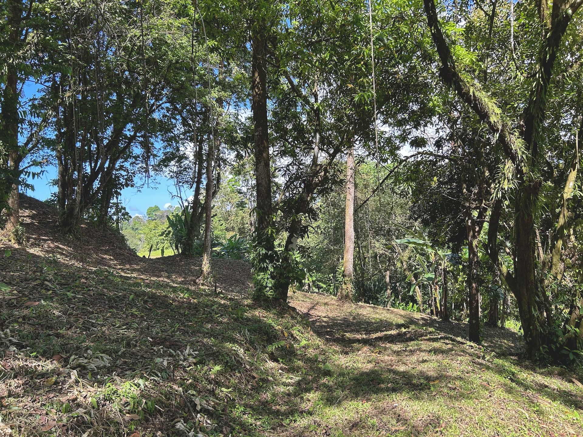 0 bed Land For Sale in Uvita, Puntarenas - thumb 22