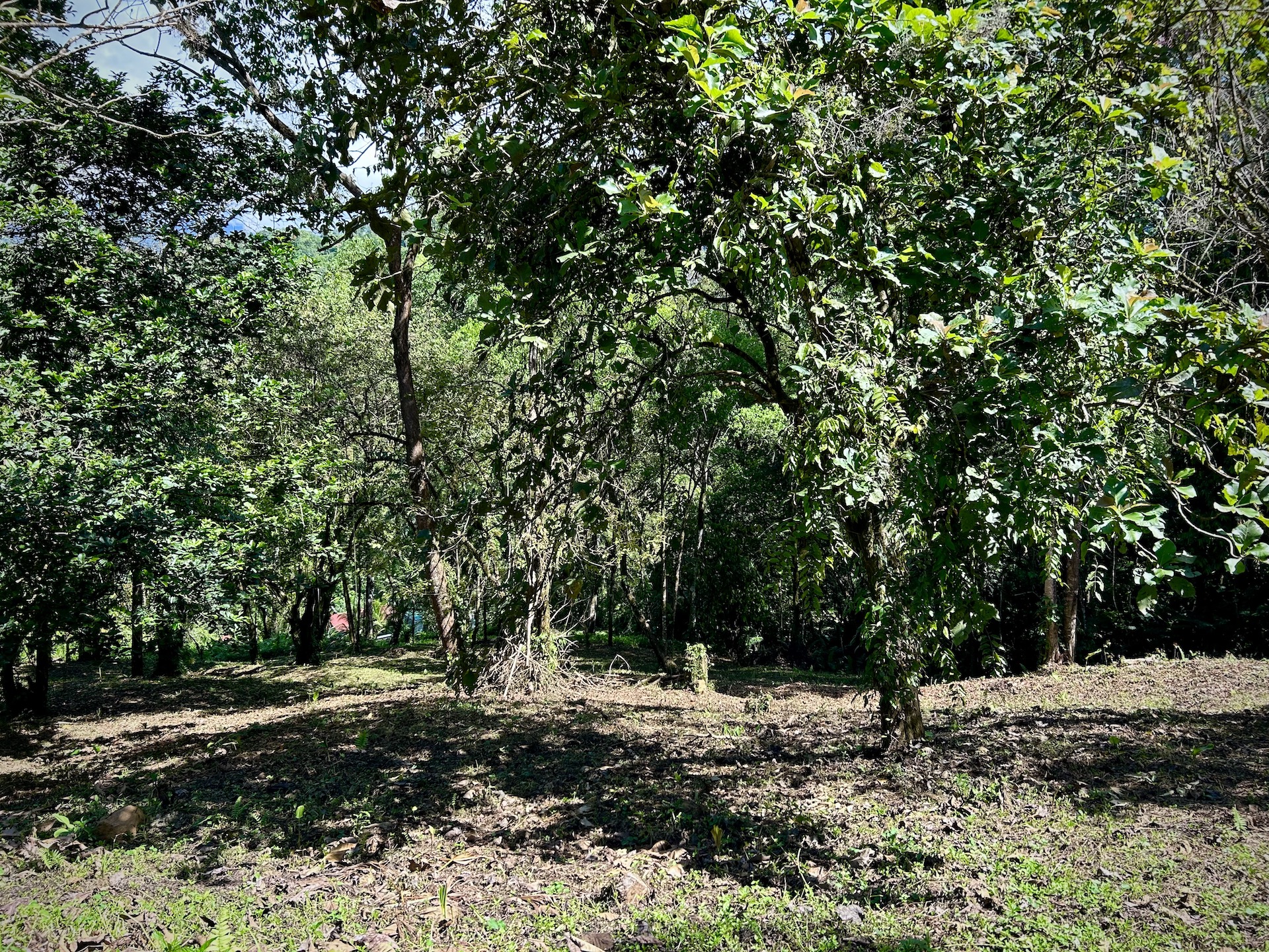 0 bed Land For Sale in Uvita, Puntarenas - thumb 13