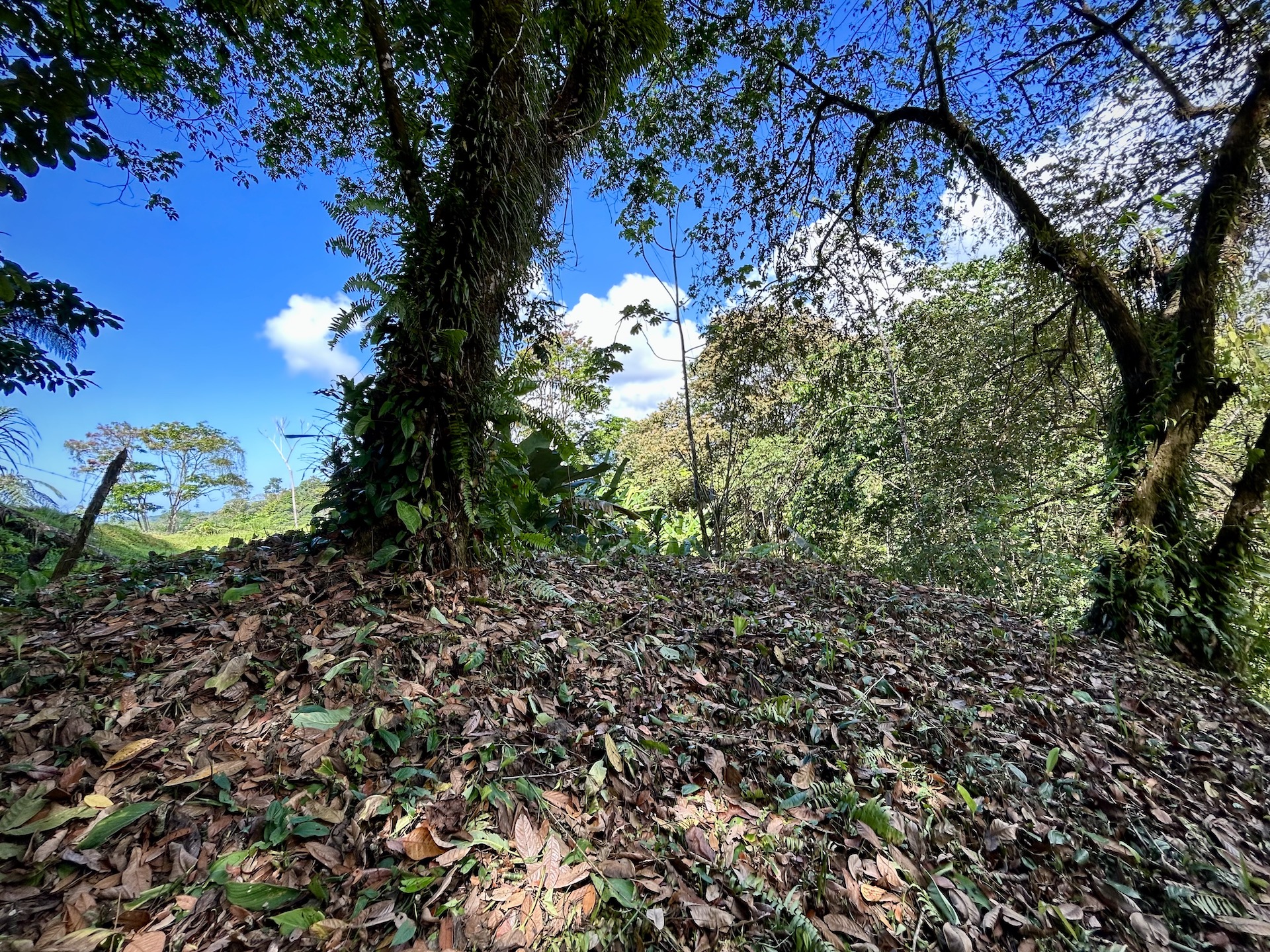 0 bed Land For Sale in Uvita, Puntarenas - thumb 10
