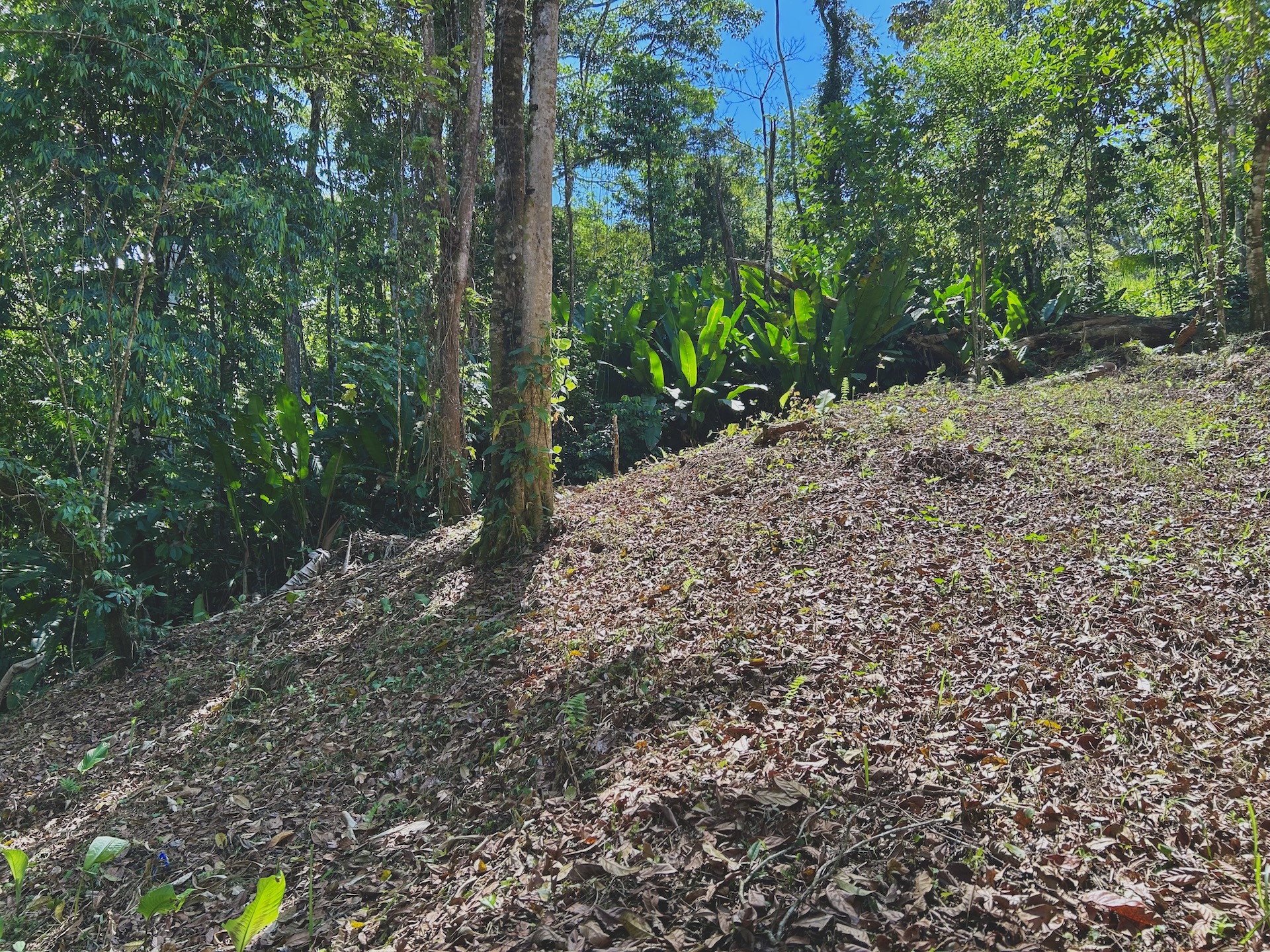 0 bed Land For Sale in Uvita, Puntarenas - thumb 27
