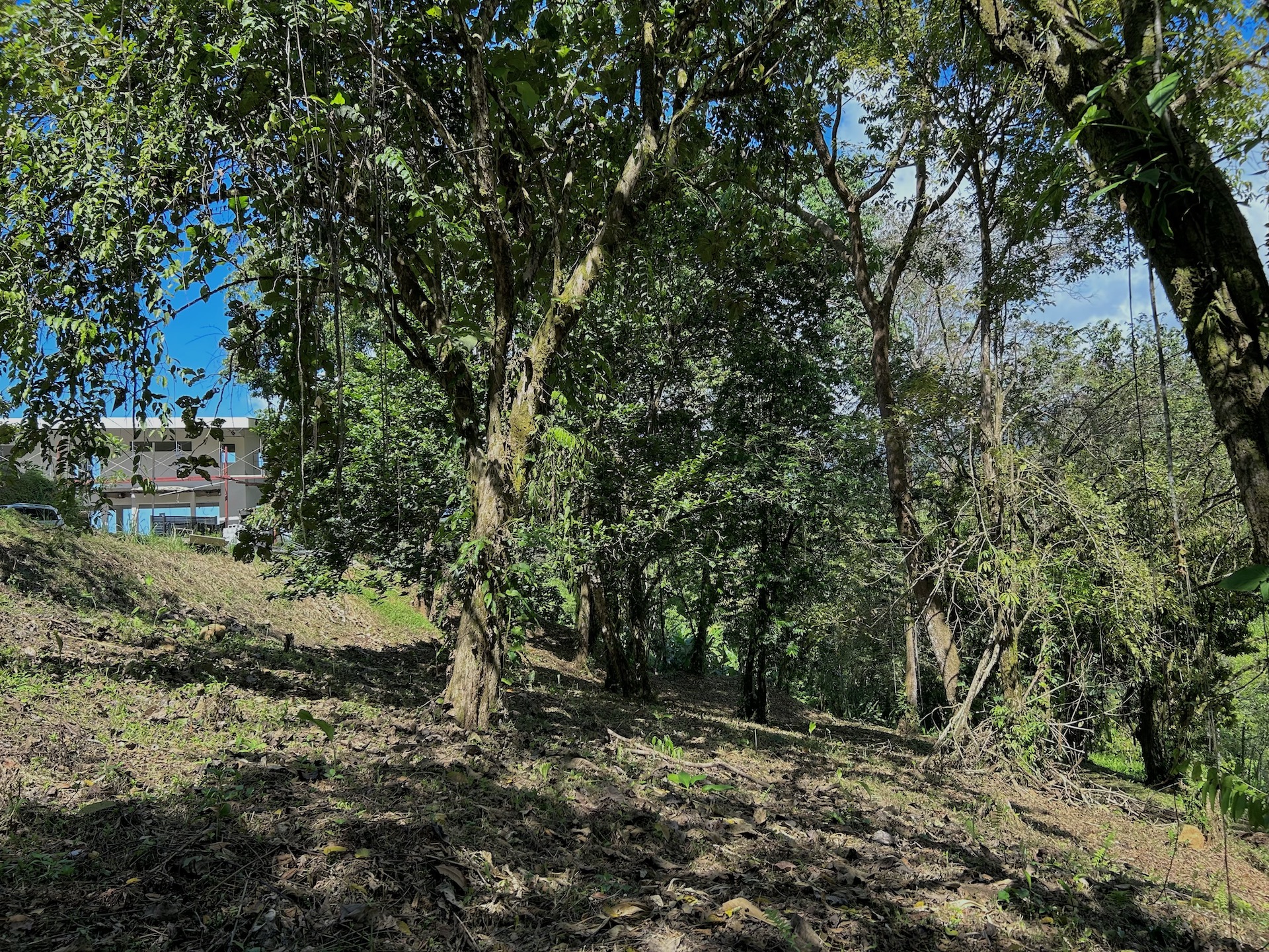 0 bed Land For Sale in Uvita, Puntarenas - thumb 25