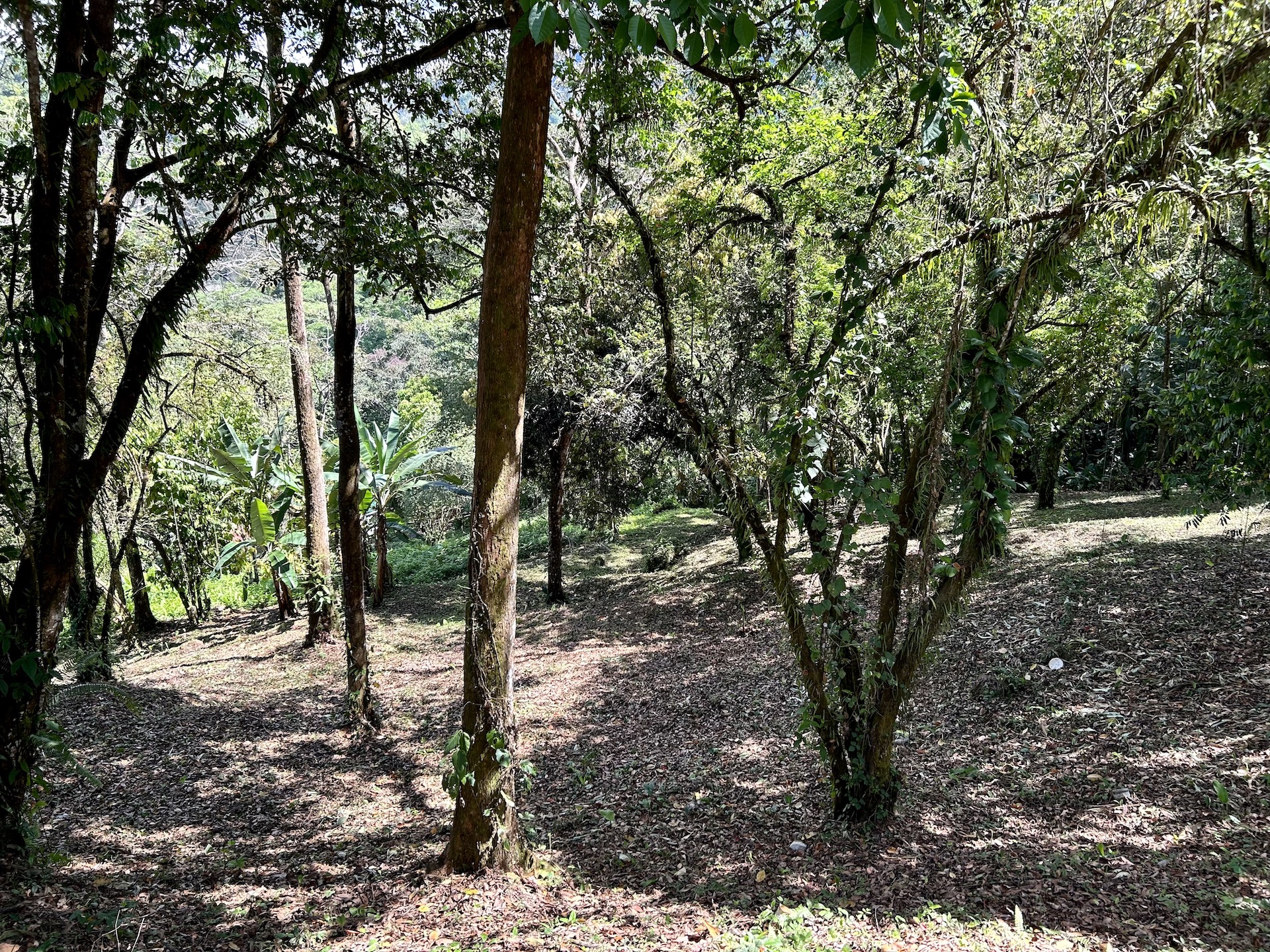0 bed Land For Sale in Uvita, Puntarenas - thumb 15