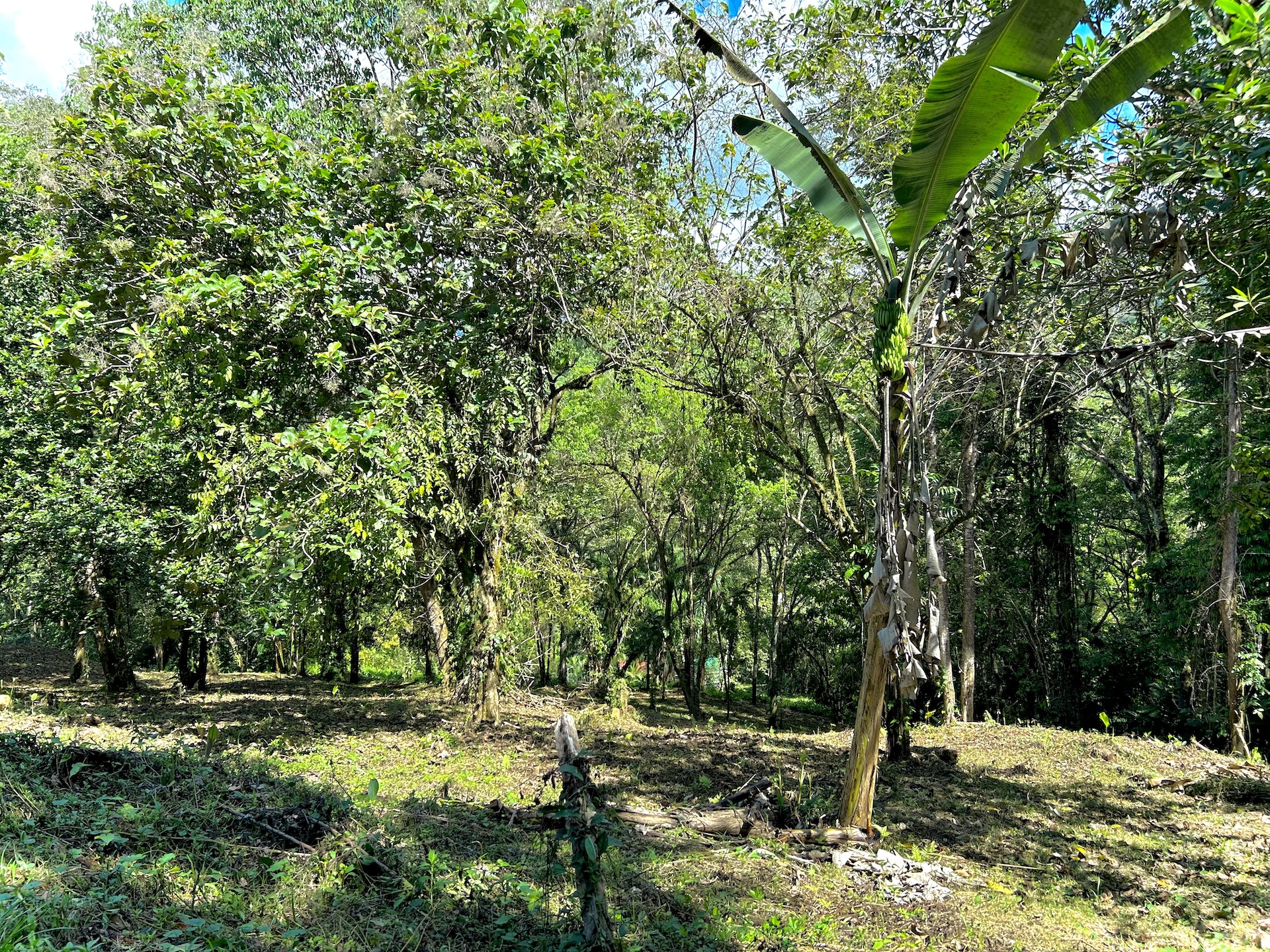 0 bed Land For Sale in Uvita, Puntarenas - thumb 30