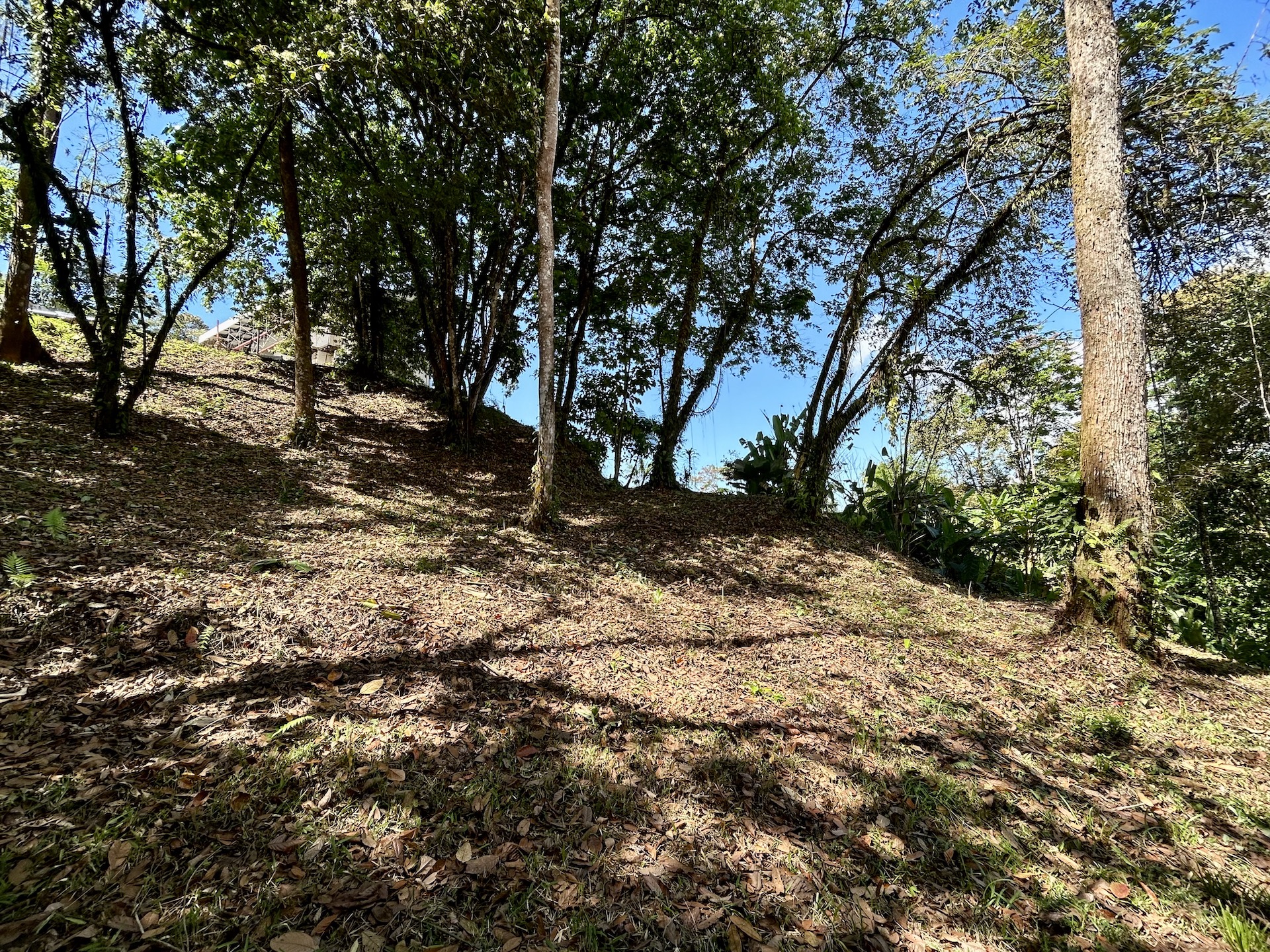 0 bed Land For Sale in Uvita, Puntarenas - thumb 18