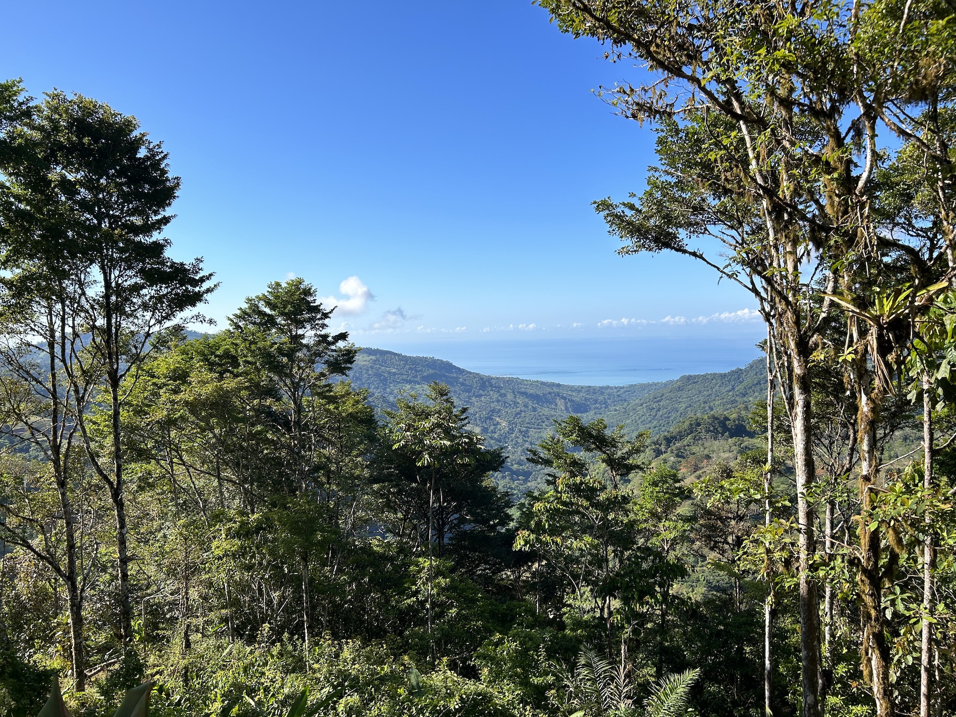 0 bed Land For Sale in Uvita, Puntarenas - thumb 3
