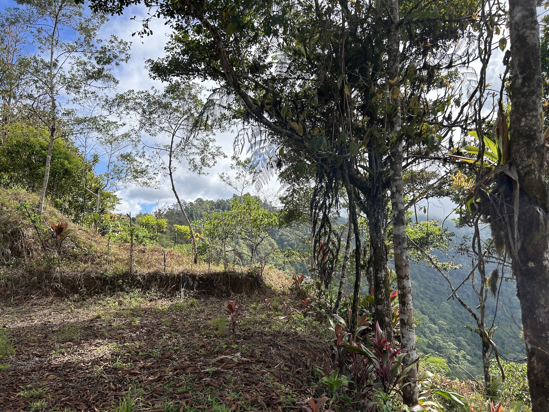 0 bed Land For Sale in Uvita, Puntarenas - thumb 17