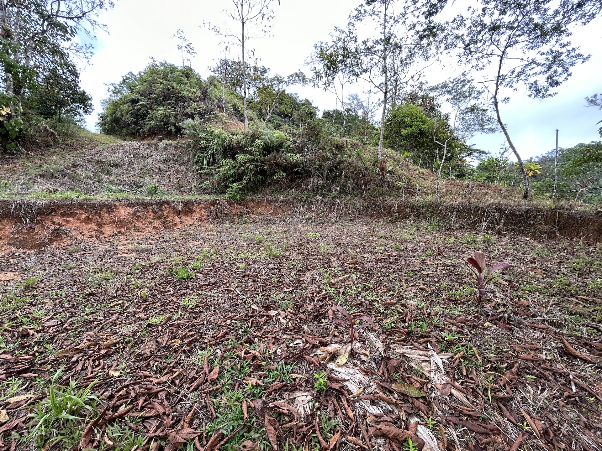 0 bed Land For Sale in Uvita, Puntarenas - thumb 22
