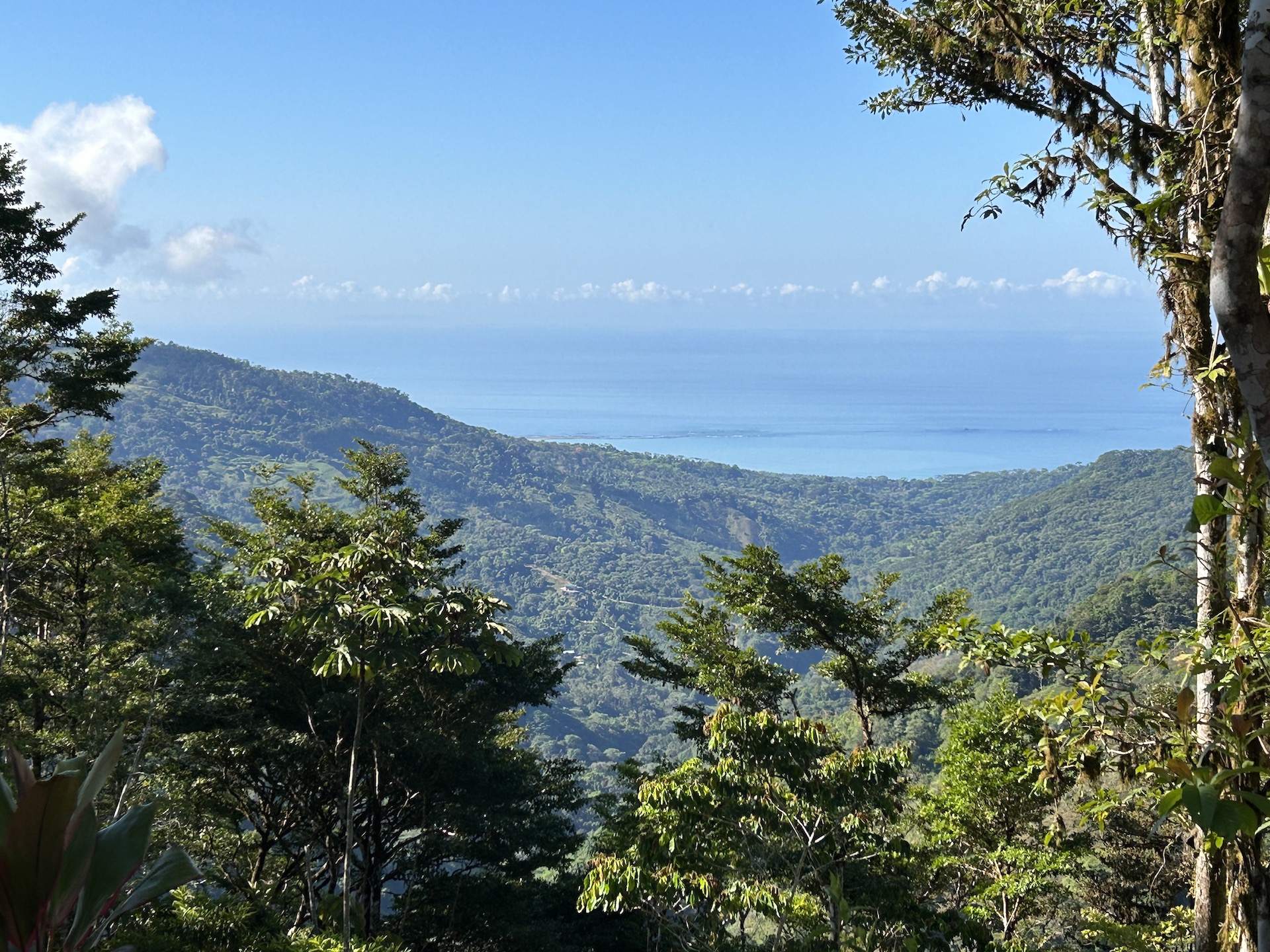0 bed Land For Sale in Uvita, Puntarenas - thumb 7