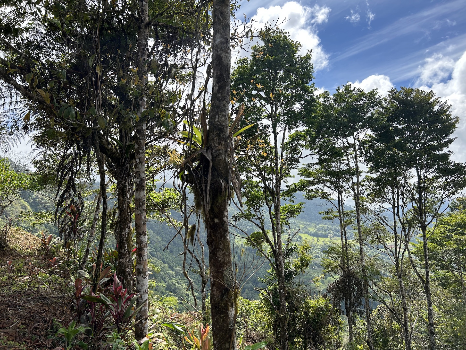 0 bed Land For Sale in Uvita, Puntarenas - thumb 14