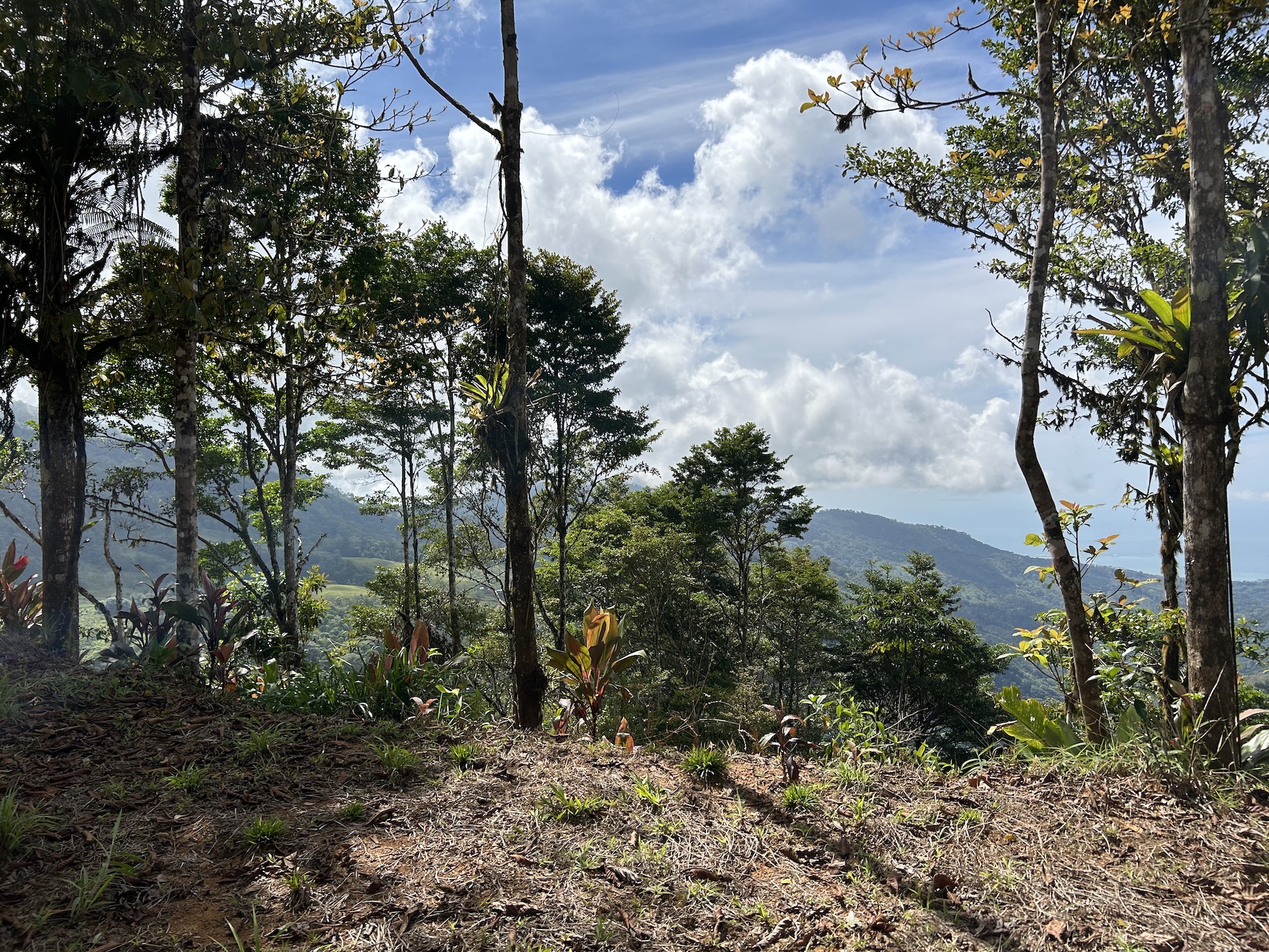 0 bed Land For Sale in Uvita, Puntarenas - thumb 12