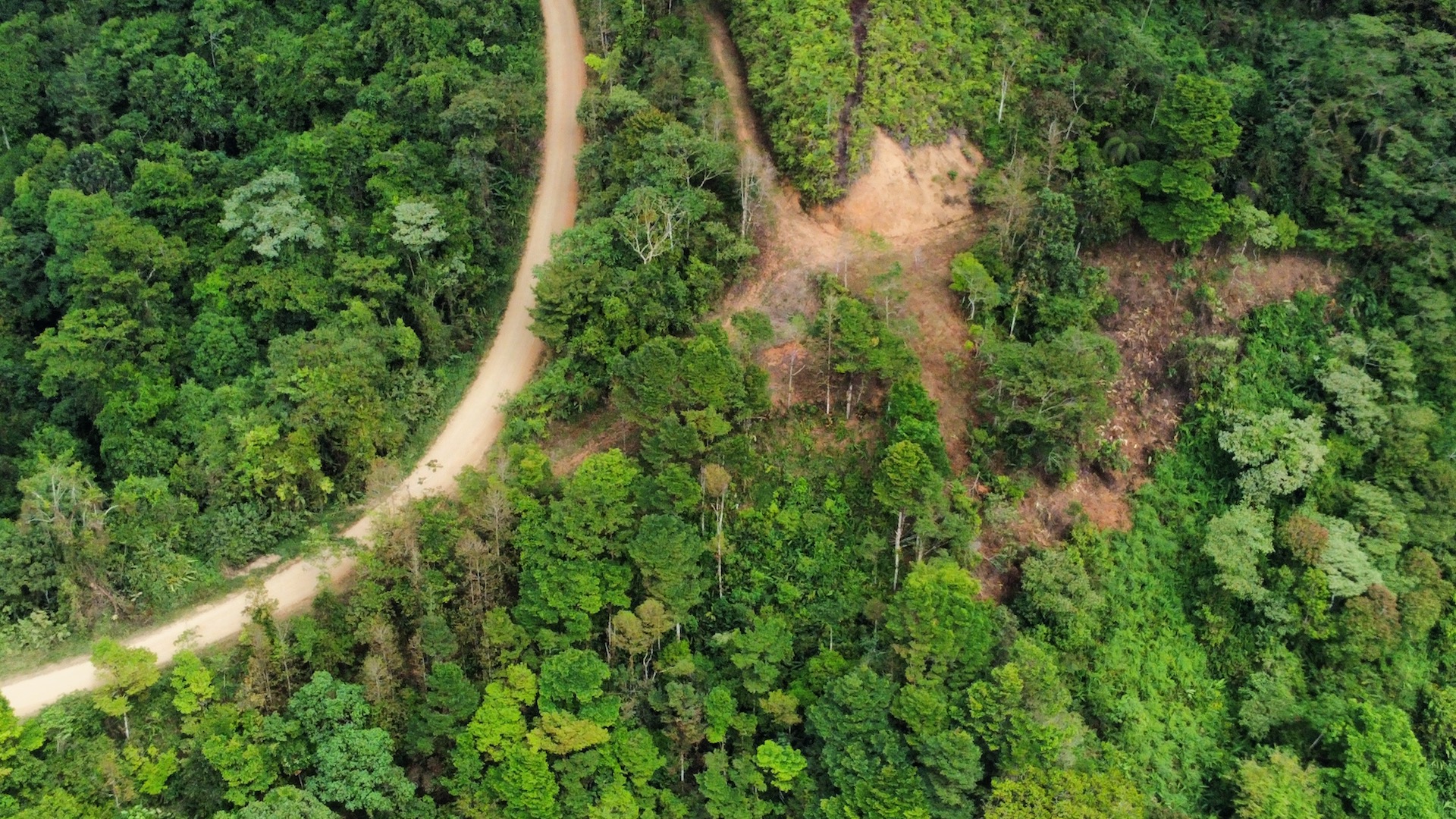 0 bed Land For Sale in Uvita, Puntarenas - thumb 30