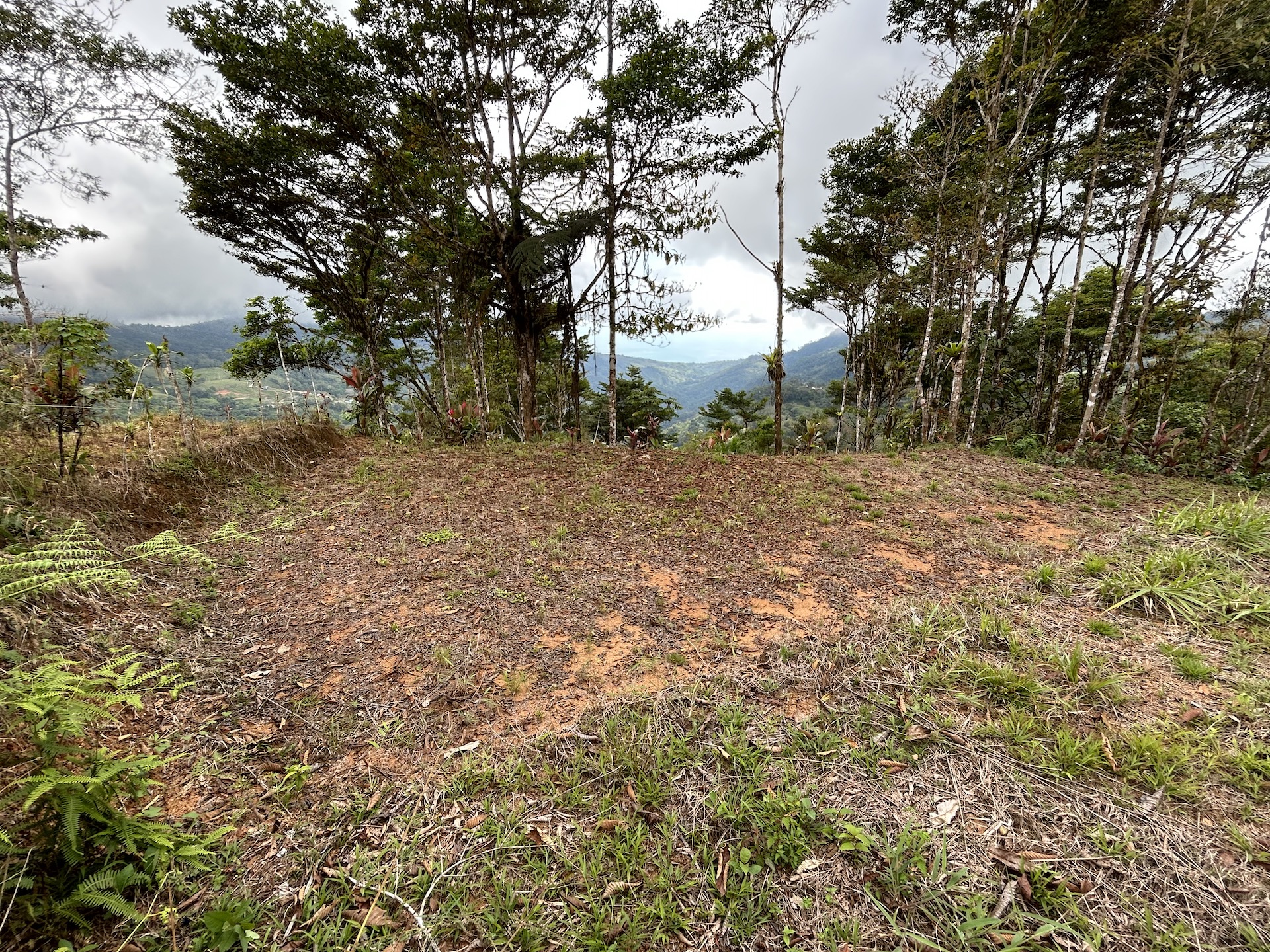 0 bed Land For Sale in Uvita, Puntarenas - thumb 20