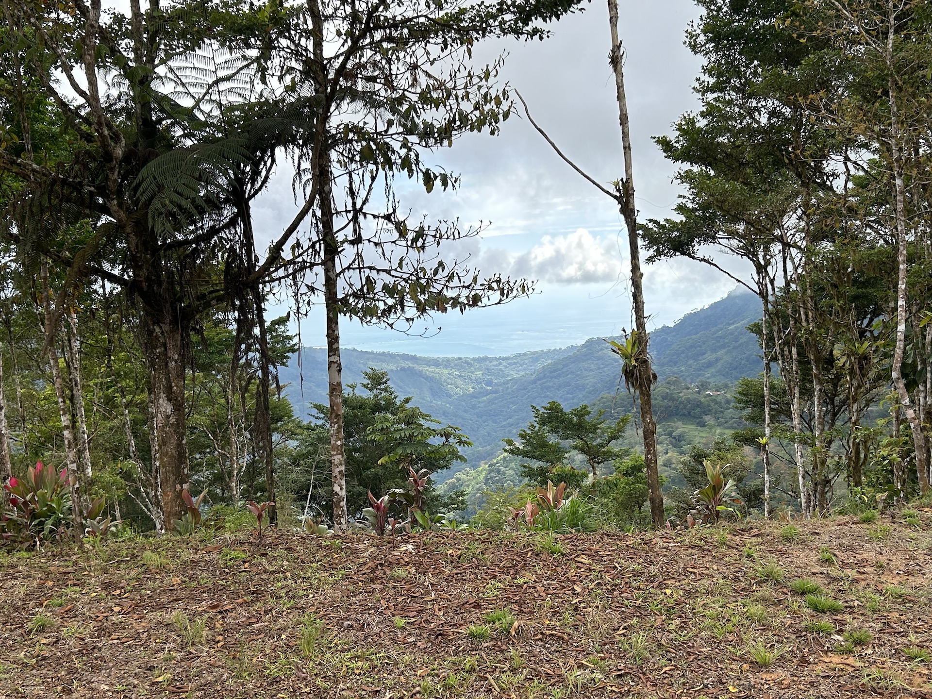0 bed Land For Sale in Uvita, Puntarenas - thumb 10
