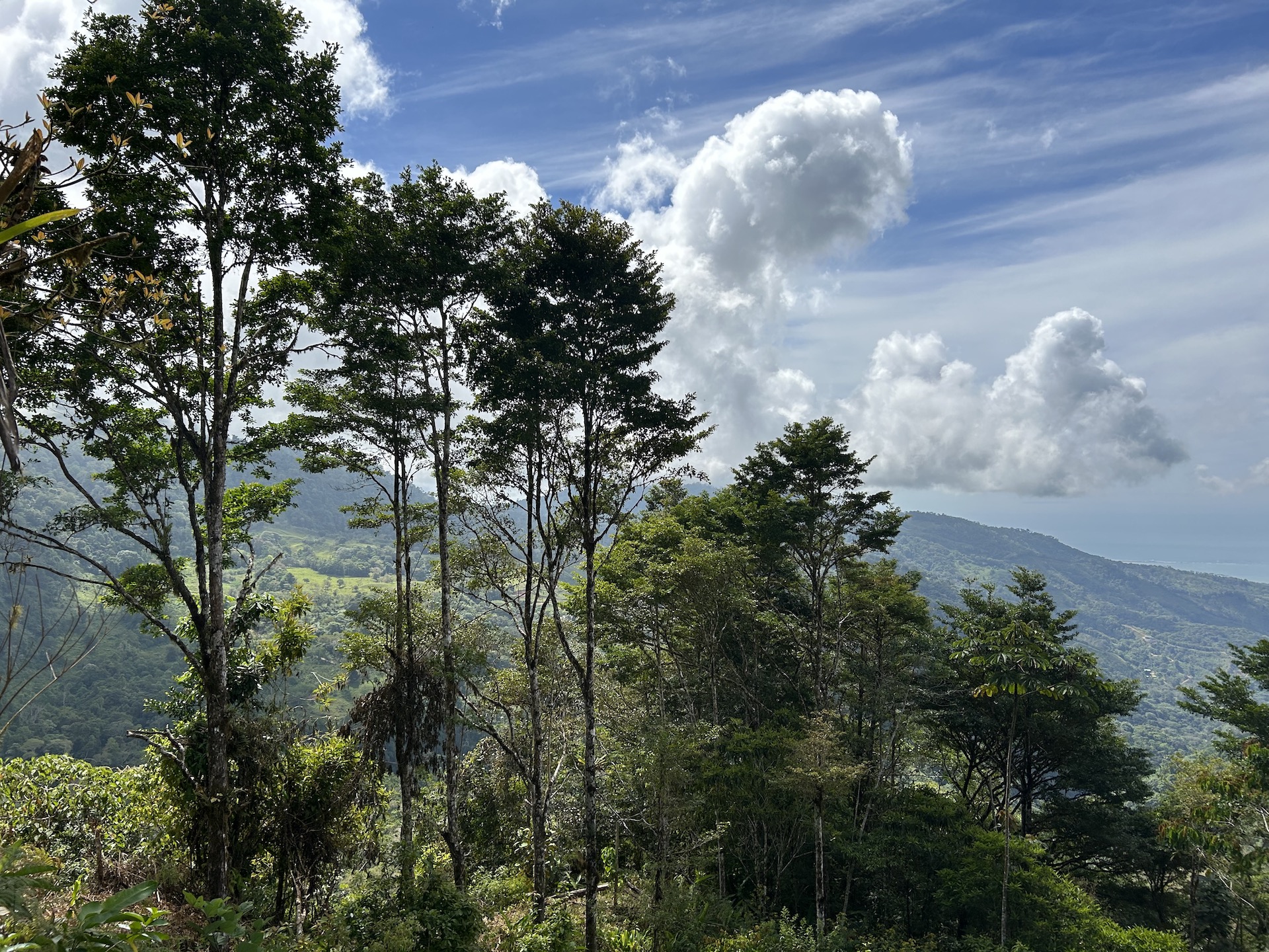 0 bed Land For Sale in Uvita, Puntarenas - thumb 13
