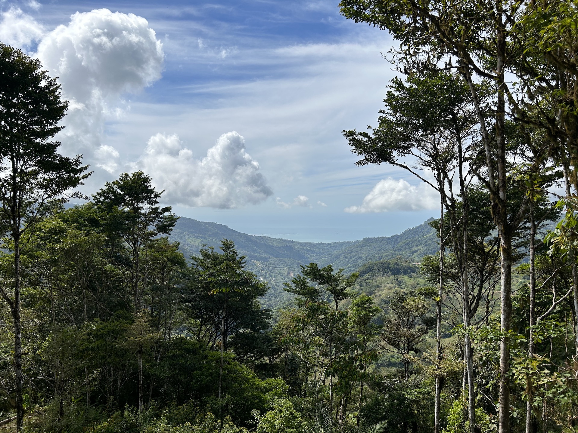 0 bed Land For Sale in Uvita, Puntarenas - thumb 8