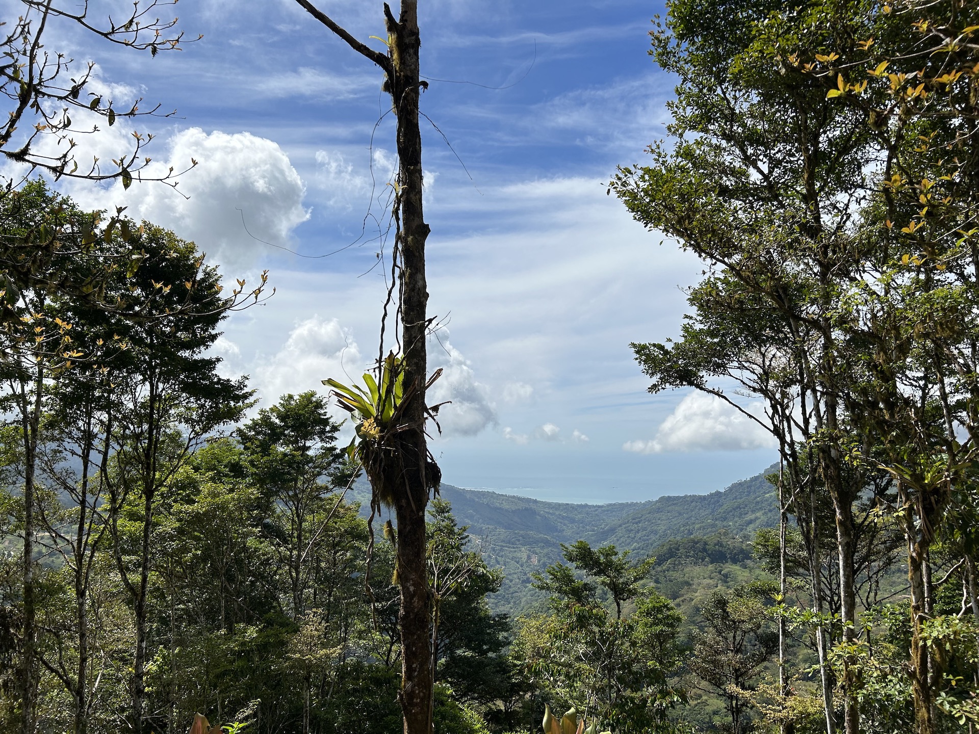 0 bed Land For Sale in Uvita, Puntarenas - thumb 9