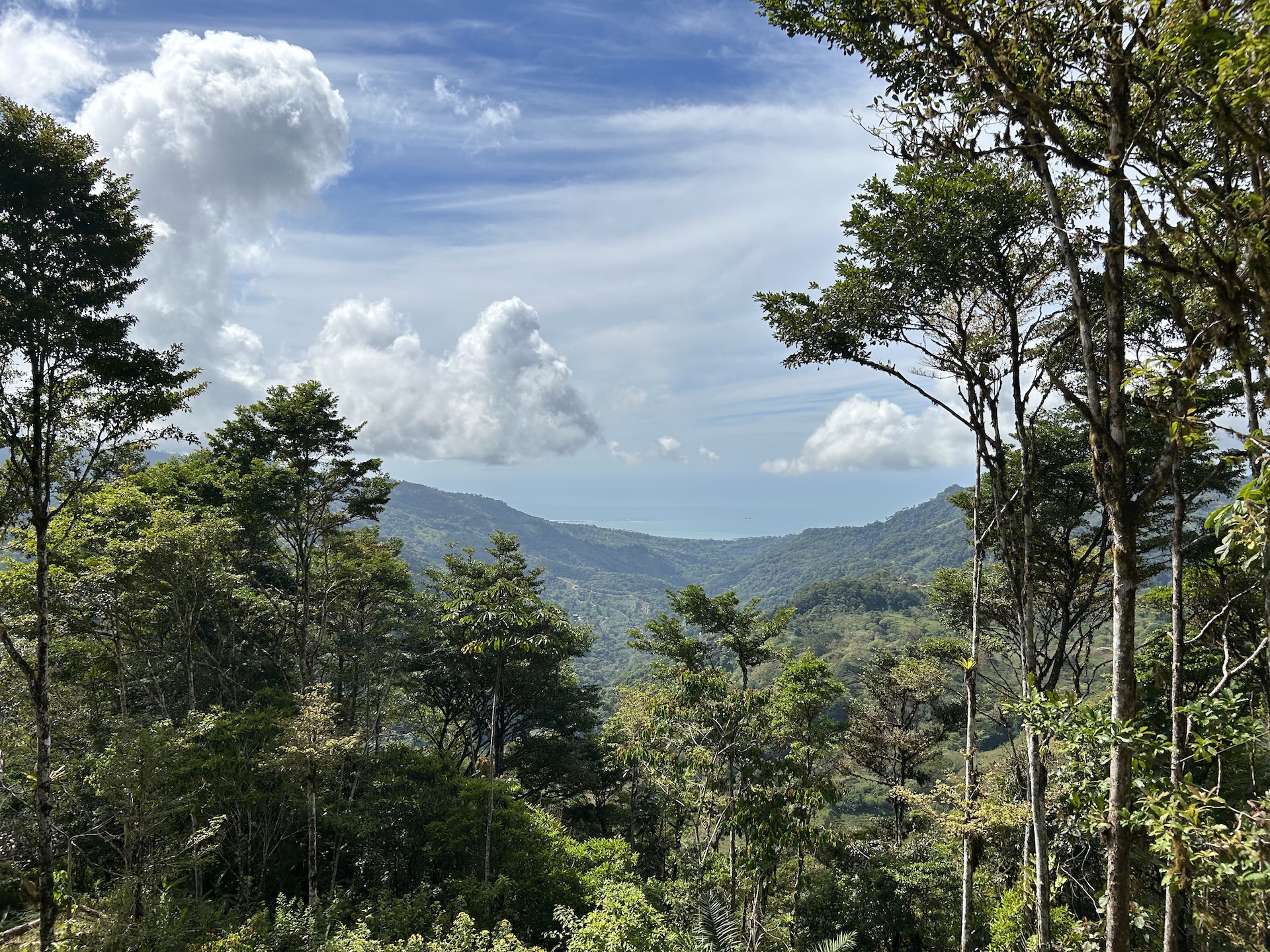 0 bed Land For Sale in Uvita, Puntarenas - thumb 4