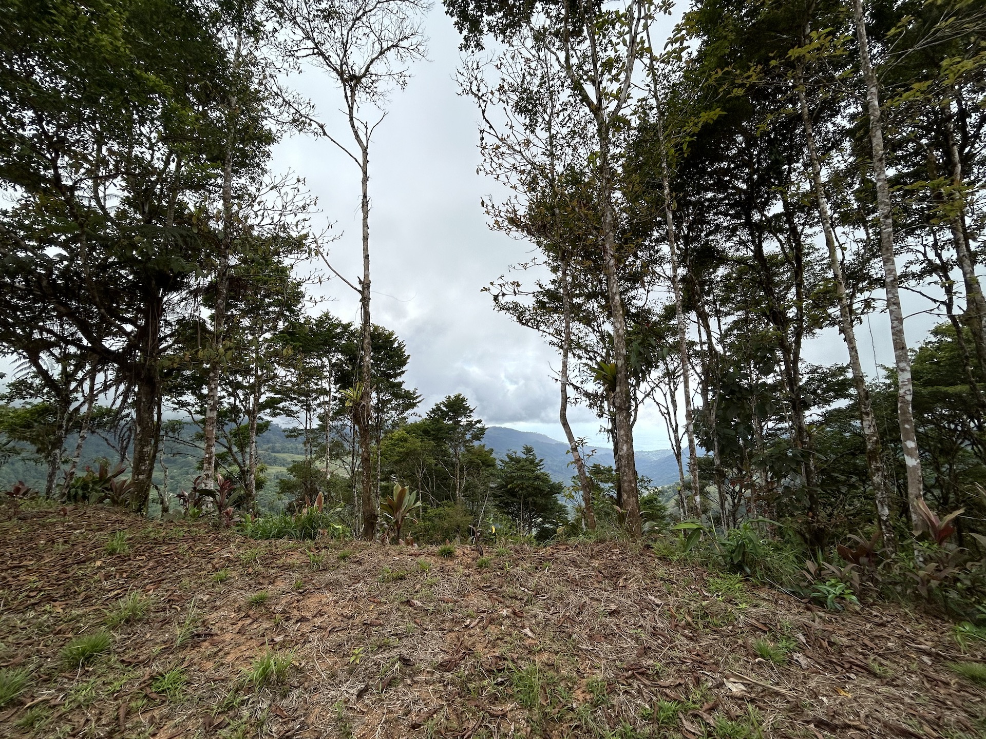 0 bed Land For Sale in Uvita, Puntarenas - thumb 16