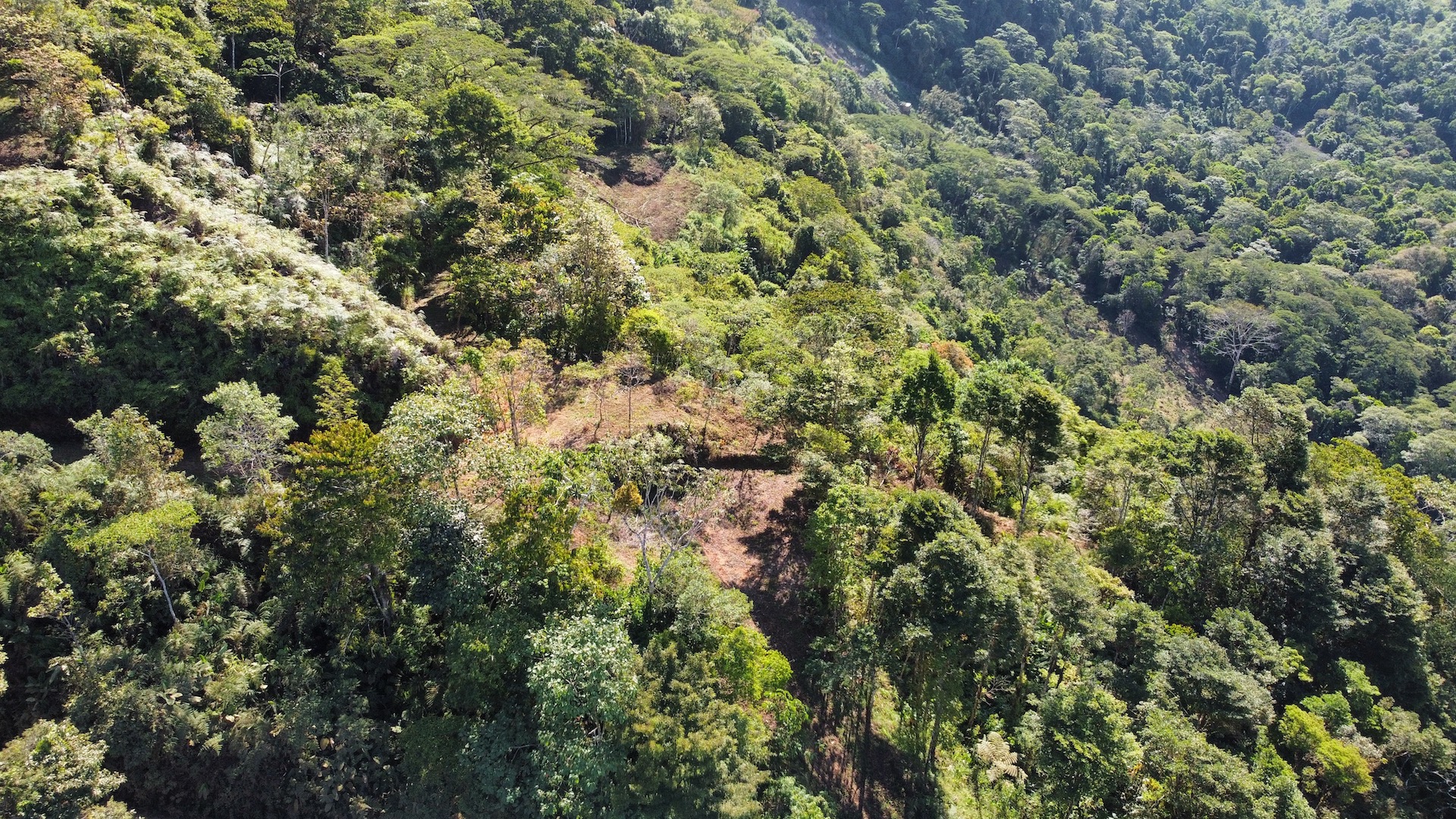 0 bed Land For Sale in Uvita, Puntarenas - thumb 29