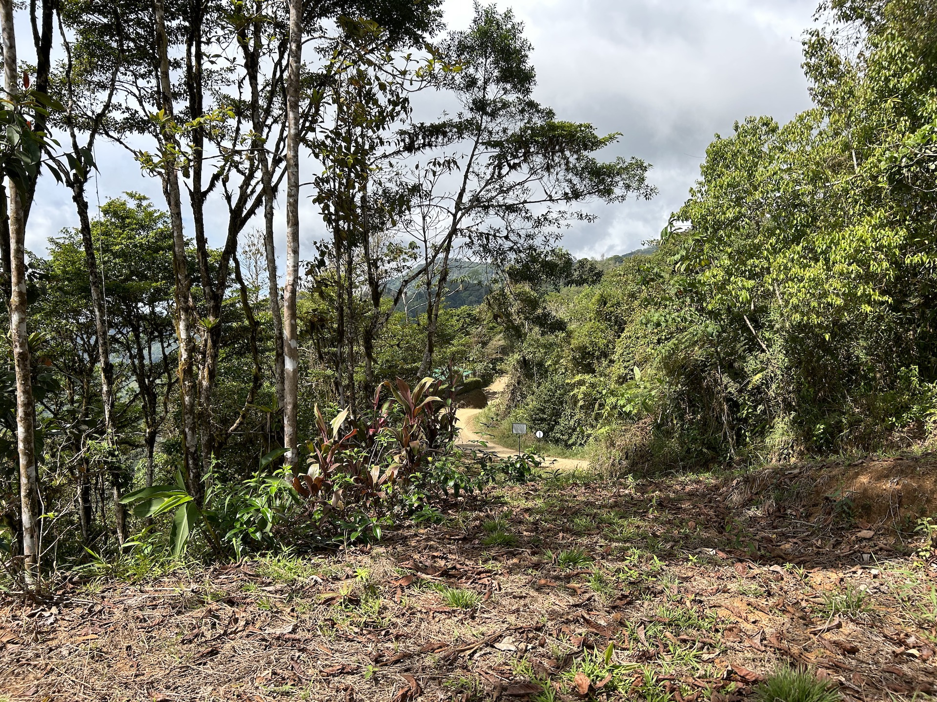0 bed Land For Sale in Uvita, Puntarenas - thumb 18