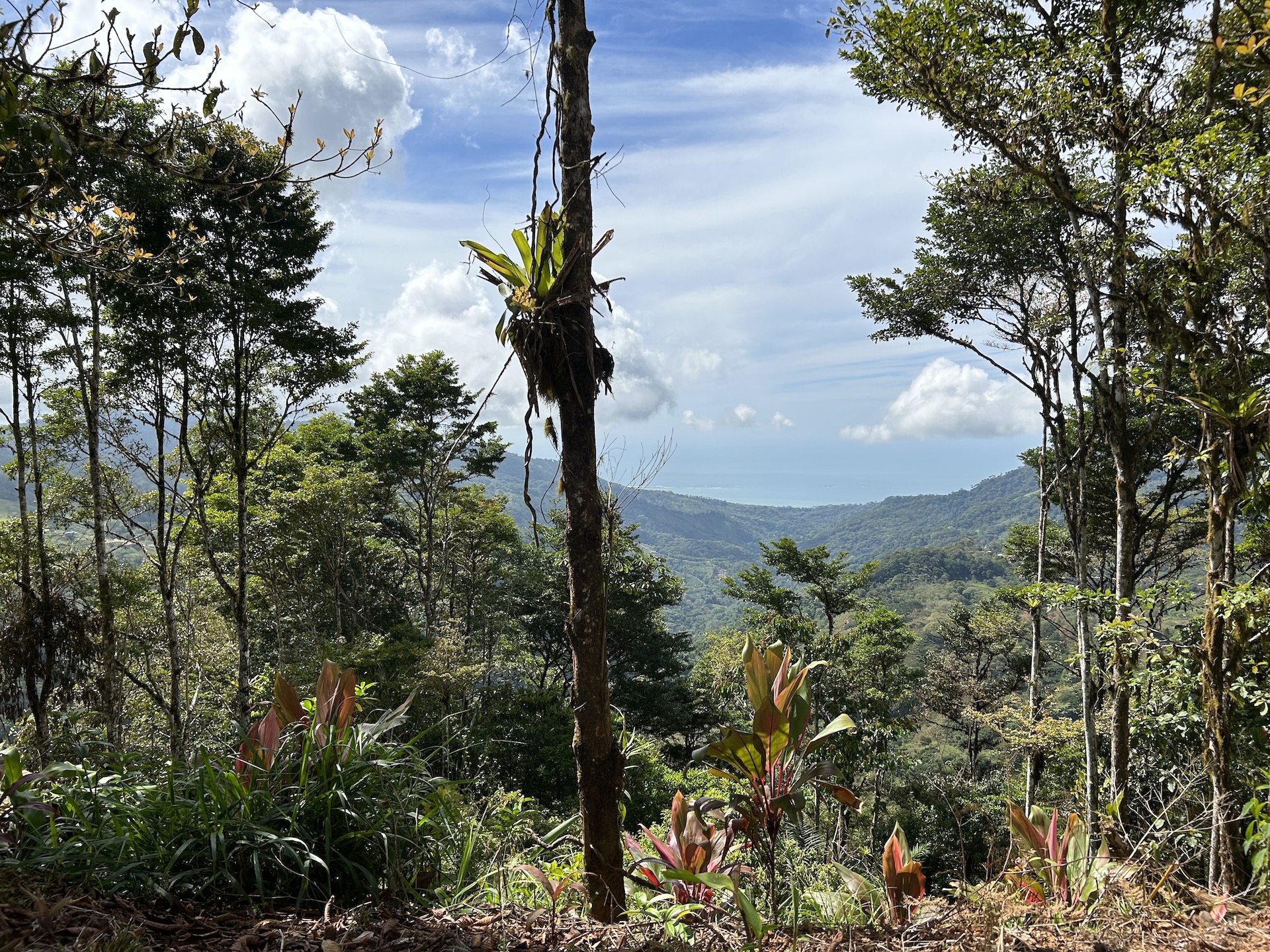 0 bed Land For Sale in Uvita, Puntarenas - thumb 11