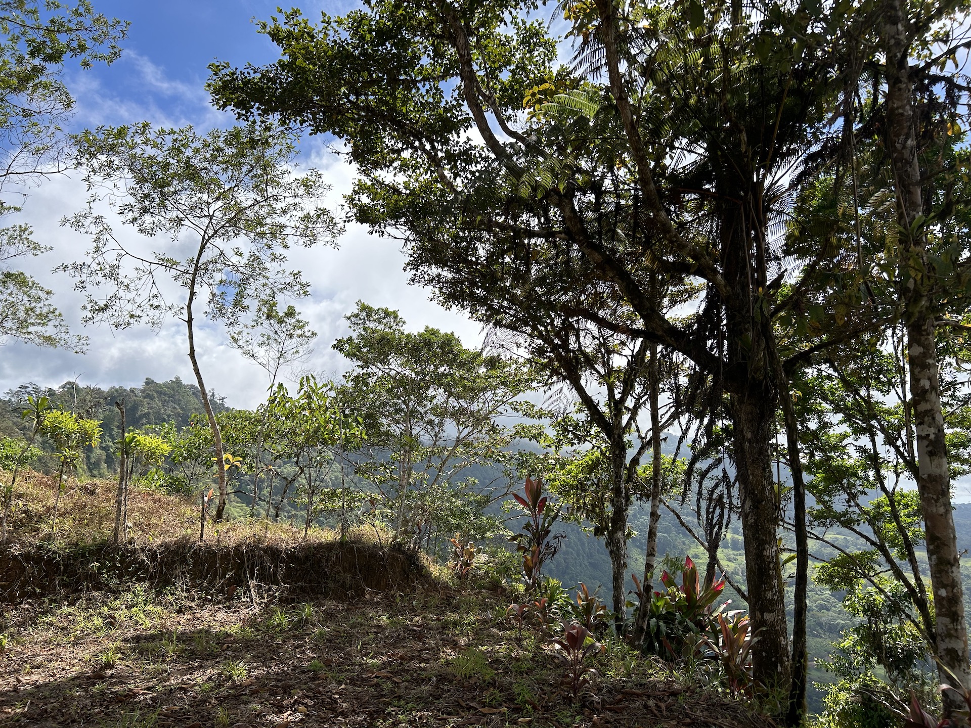 0 bed Land For Sale in Uvita, Puntarenas - thumb 15