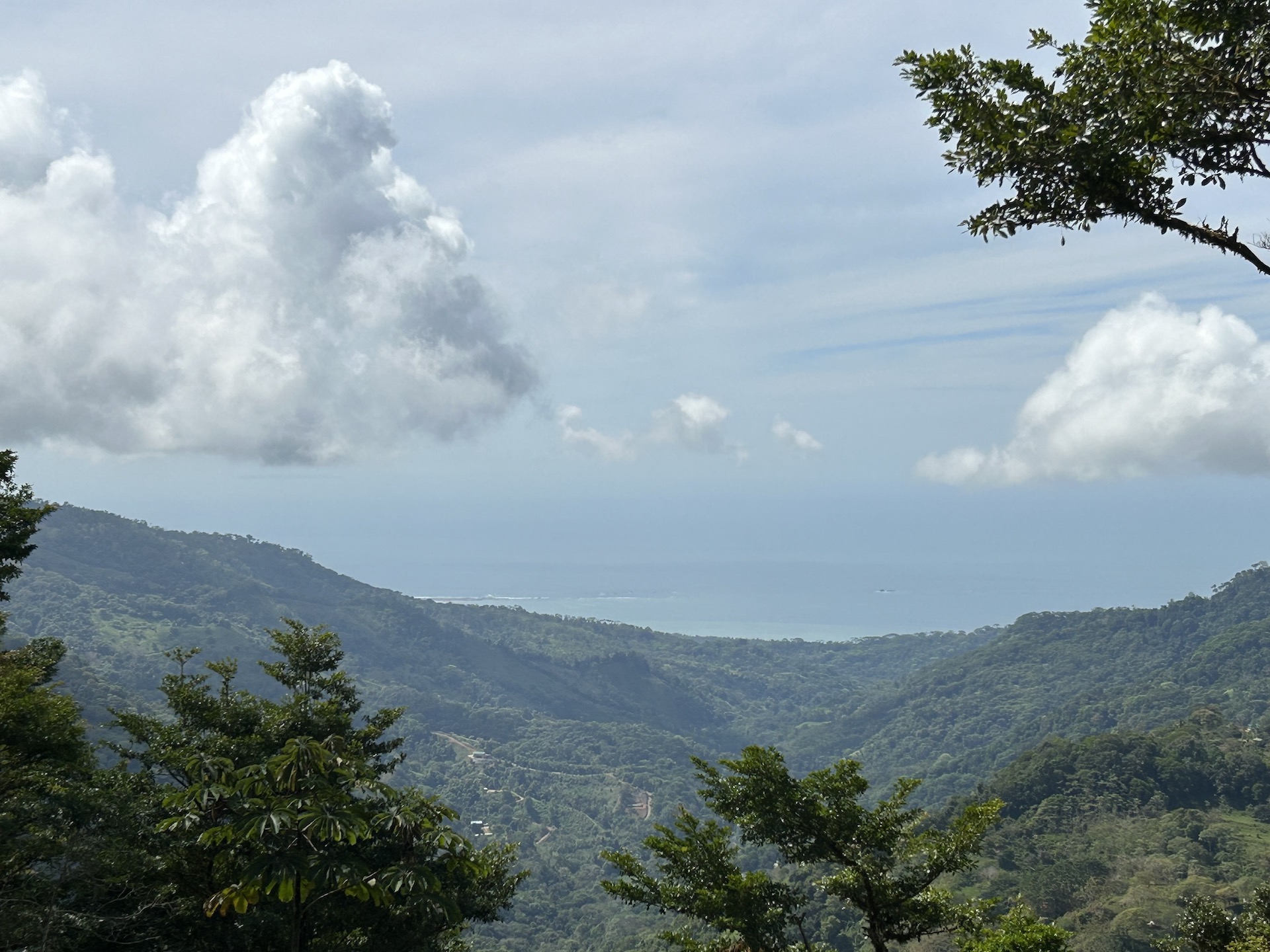 0 bed Land For Sale in Uvita, Puntarenas - thumb 6