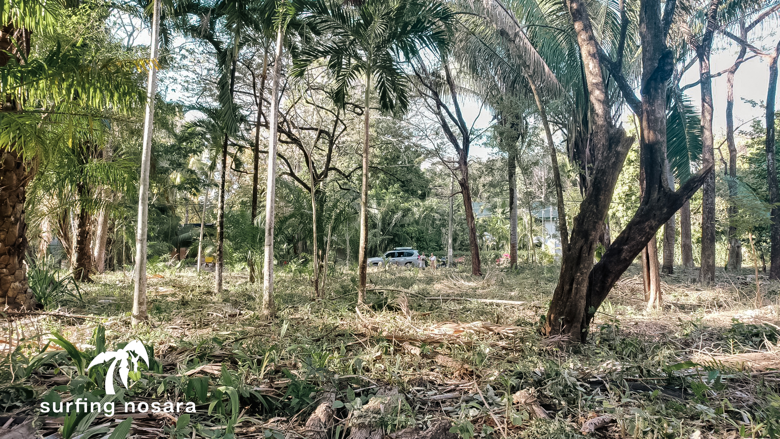 0 bed Land For Sale in Nosara, Guanacaste - thumb 7