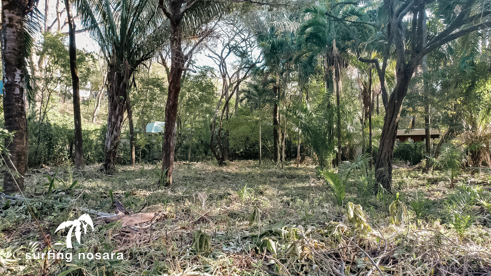 0 bed Land For Sale in Nosara, Guanacaste - thumb 12