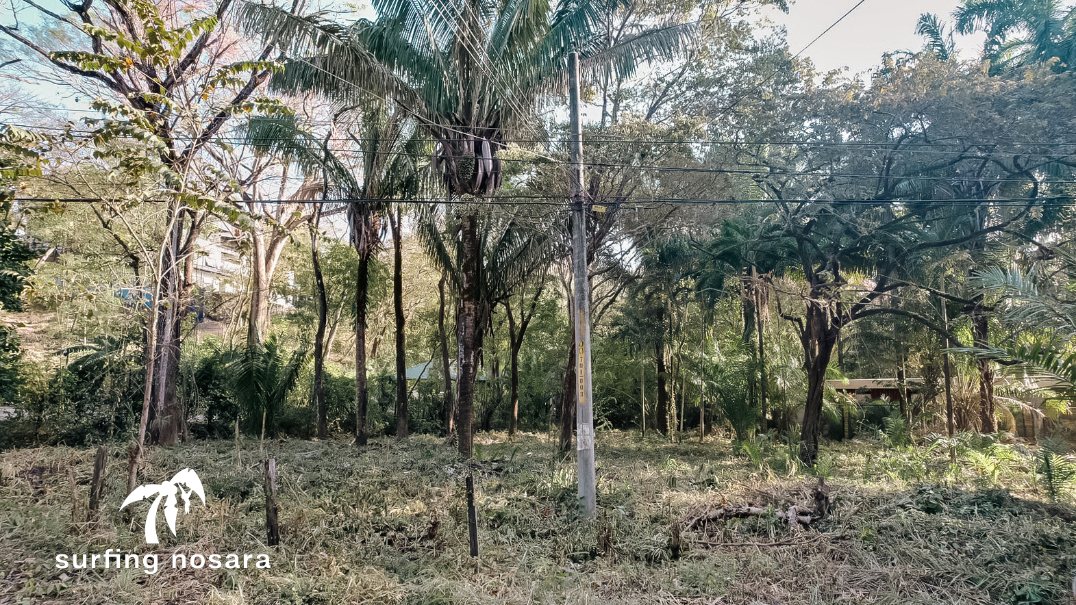 0 bed Land For Sale in Nosara, Guanacaste - thumb 11