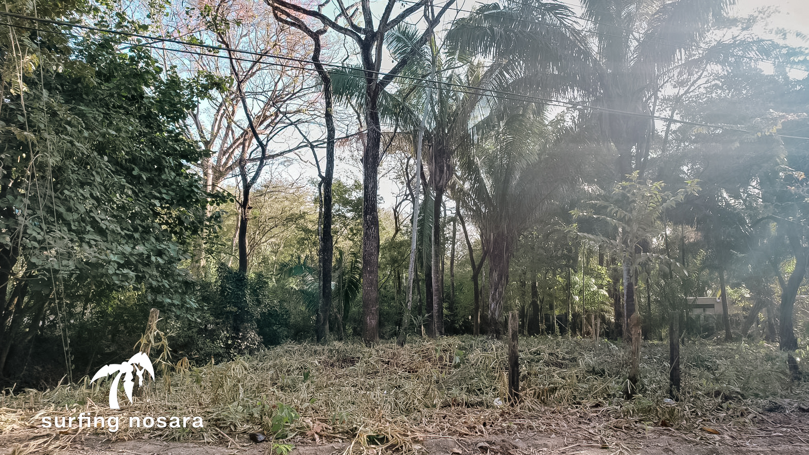 0 bed Land For Sale in Nosara, Guanacaste - thumb 8