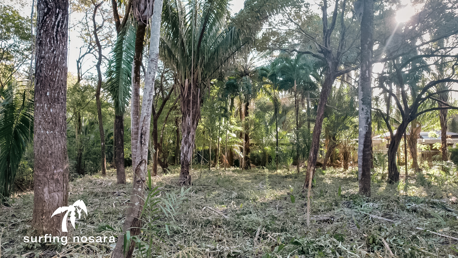 0 bed Land For Sale in Nosara, Guanacaste - thumb 1