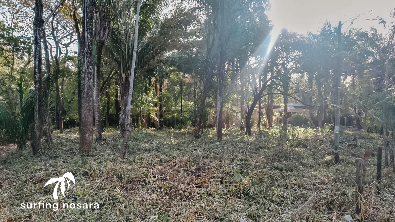 0 bed Land For Sale in Nosara, Guanacaste - thumb 3