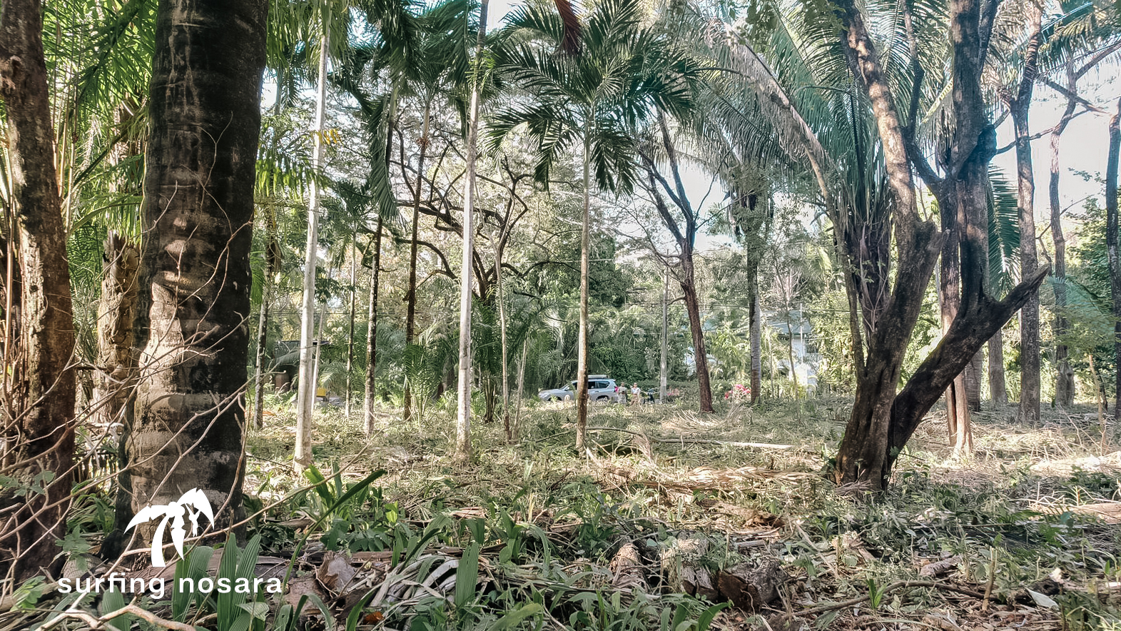 0 bed Land For Sale in Nosara, Guanacaste - thumb 5