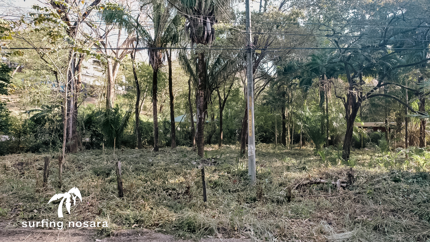 0 bed Land For Sale in Nosara, Guanacaste - thumb 10