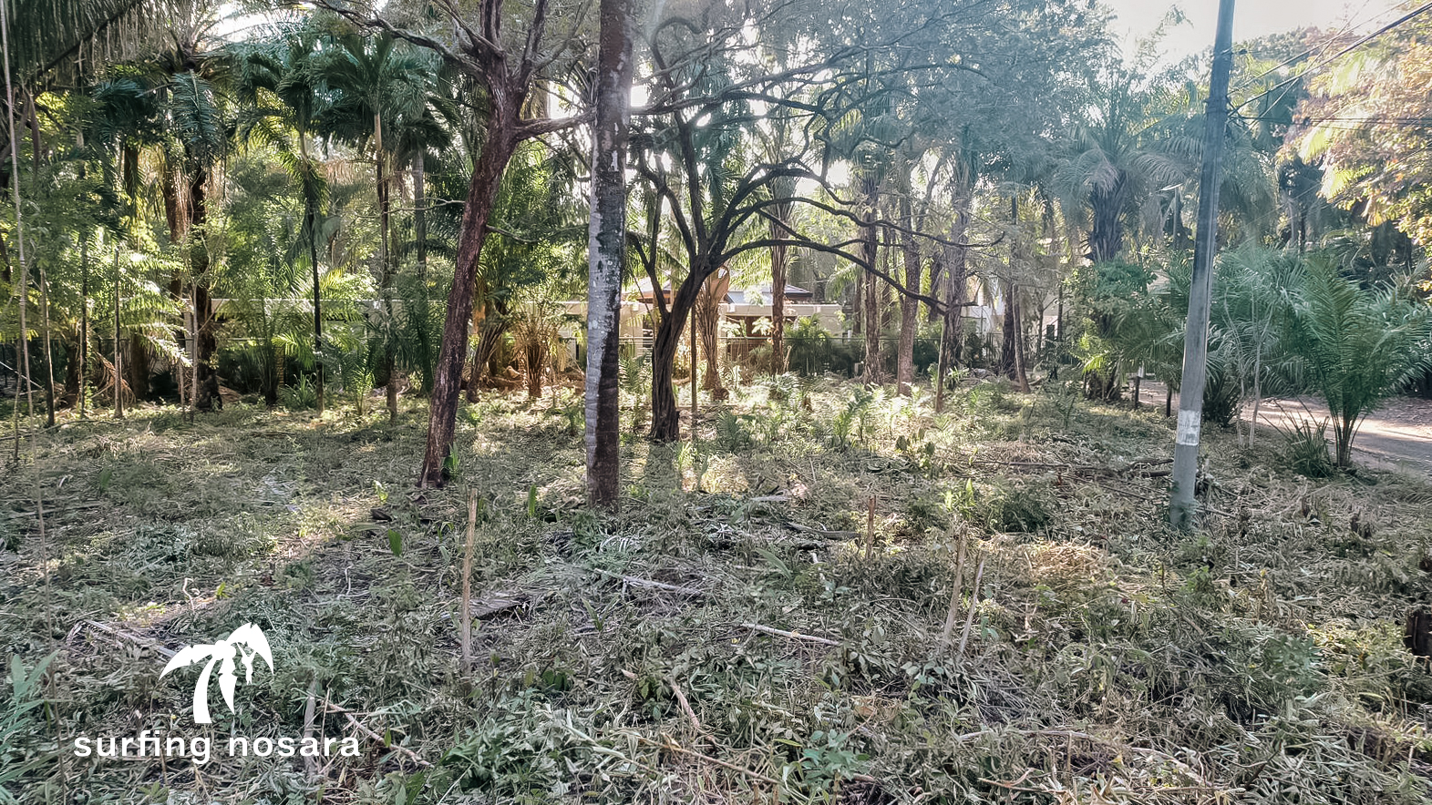 0 bed Land For Sale in Nosara, Guanacaste - thumb 17