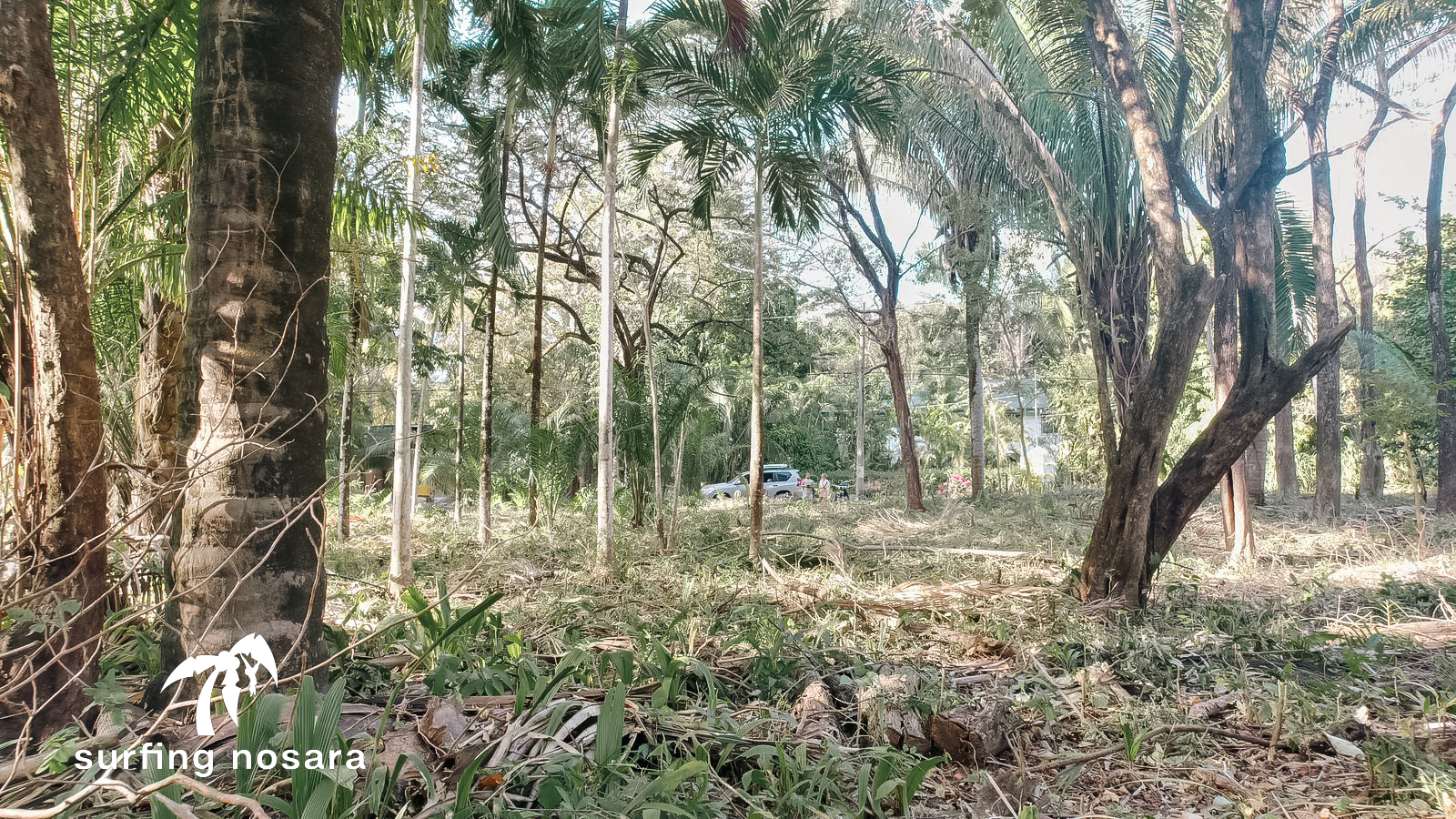 0 bed Land For Sale in Nosara, Guanacaste - thumb 6