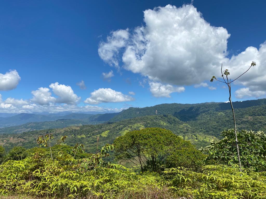 0 bed Land For Sale in Dominical, Puntarenas - thumb 12