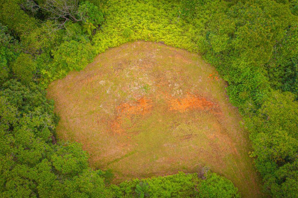 0 bed Land For Sale in Dominical, Puntarenas - thumb 2