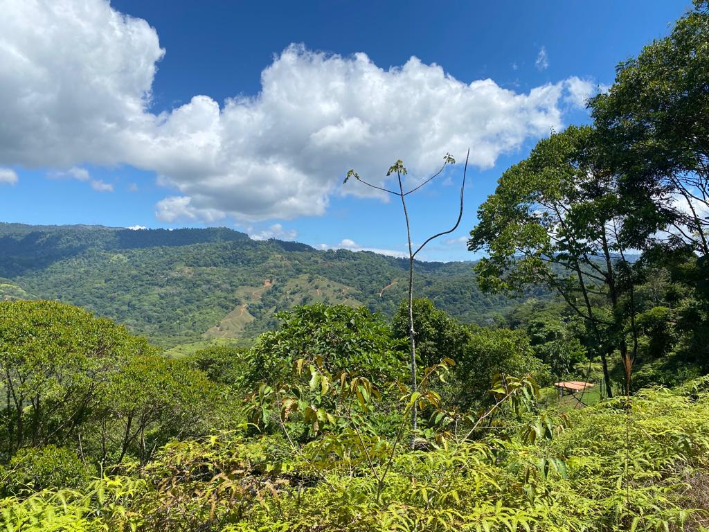 0 bed Land For Sale in Dominical, Puntarenas - thumb 10