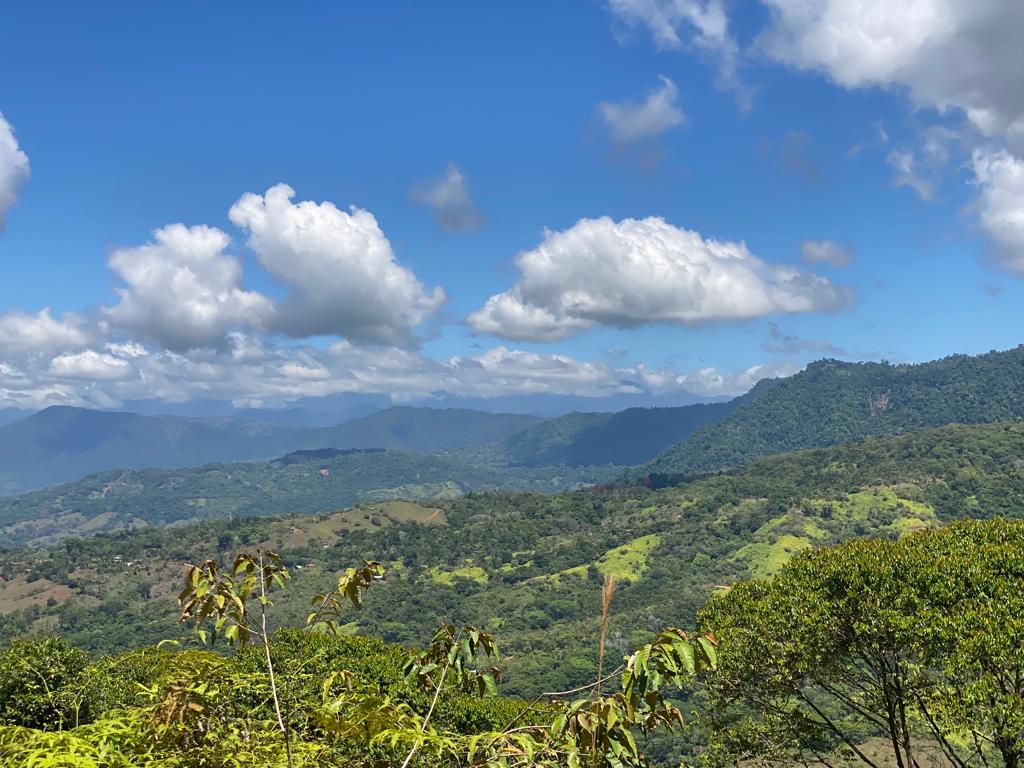 0 bed Land For Sale in Dominical, Puntarenas - thumb 11